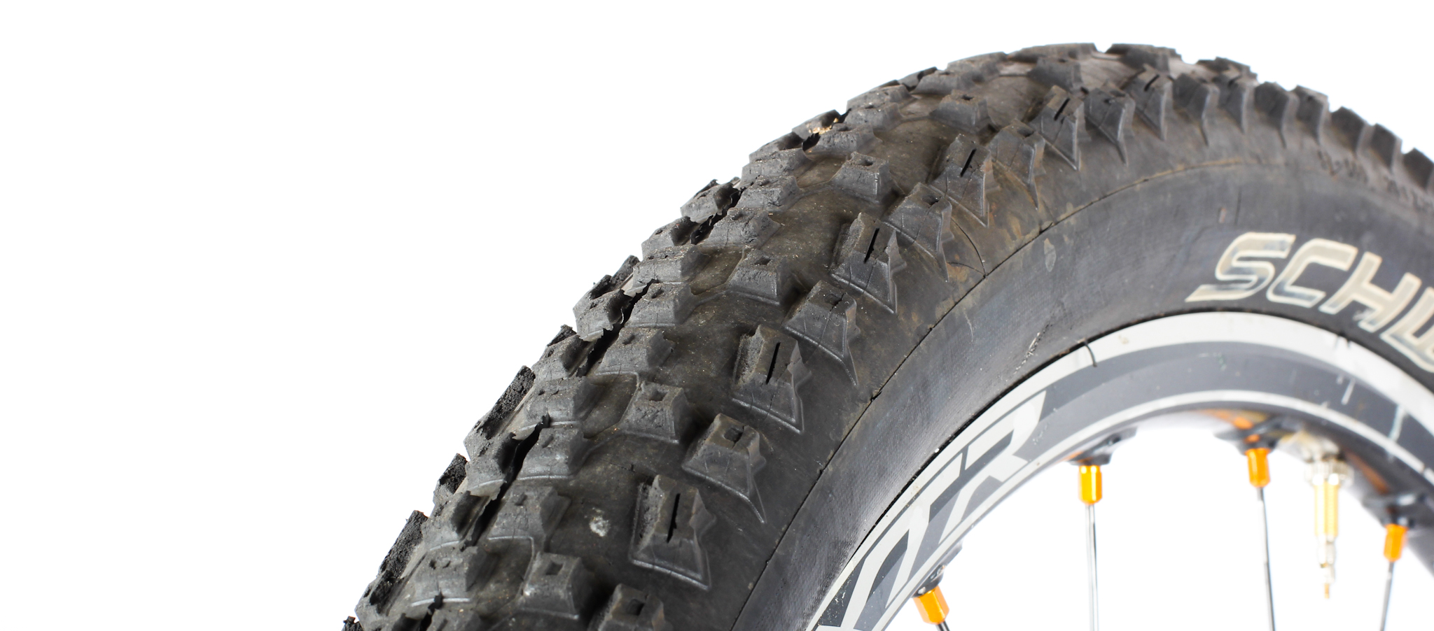 Schwalbe Racing Ralph Evolution Series
