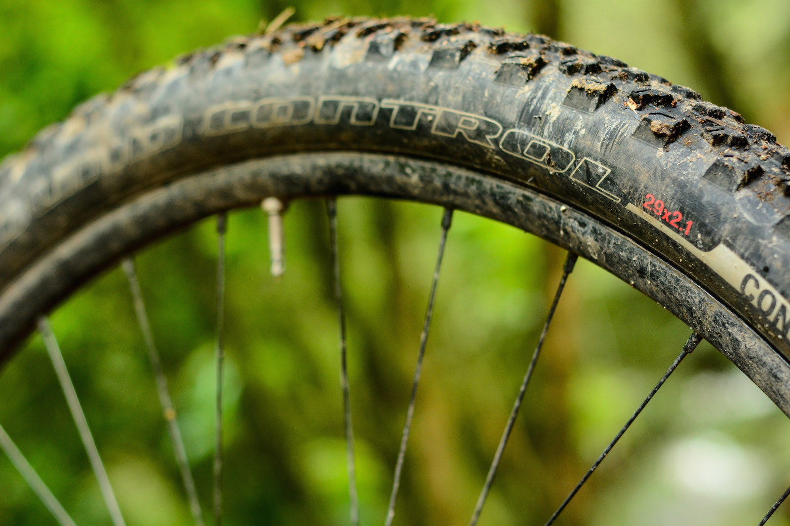 Shred-ette: Specialized Rumor Expert Evo 29 Reviewed