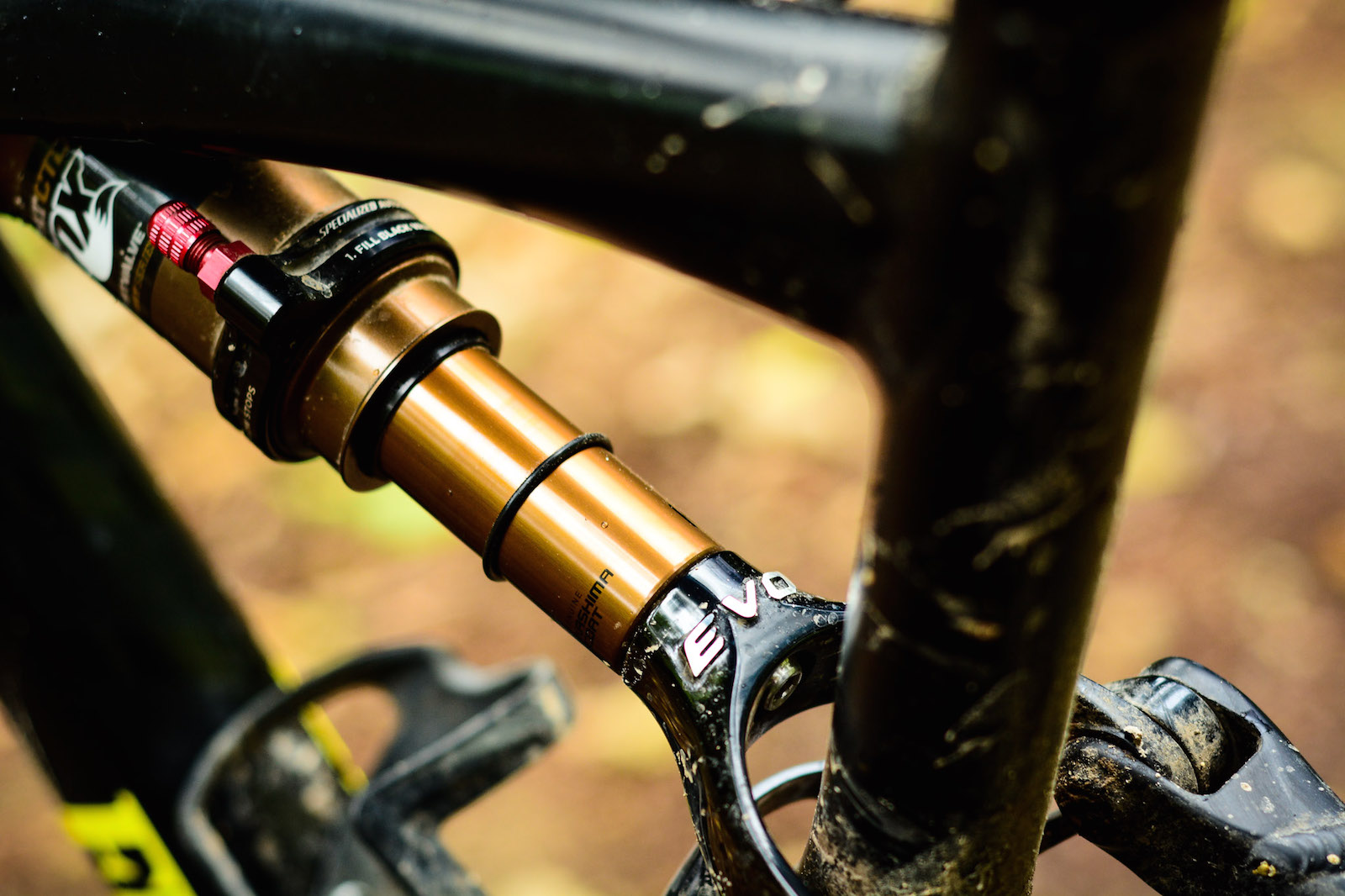 Shred-ette: Specialized Rumor Expert Evo 29 Reviewed