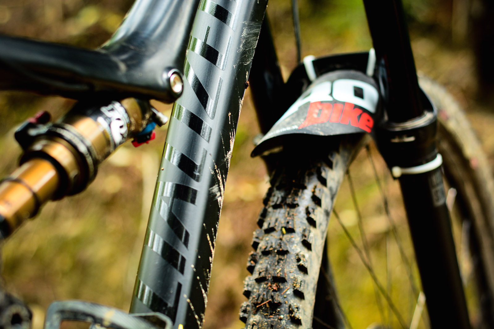 Shred-ette: Specialized Rumor Expert Evo 29 Reviewed