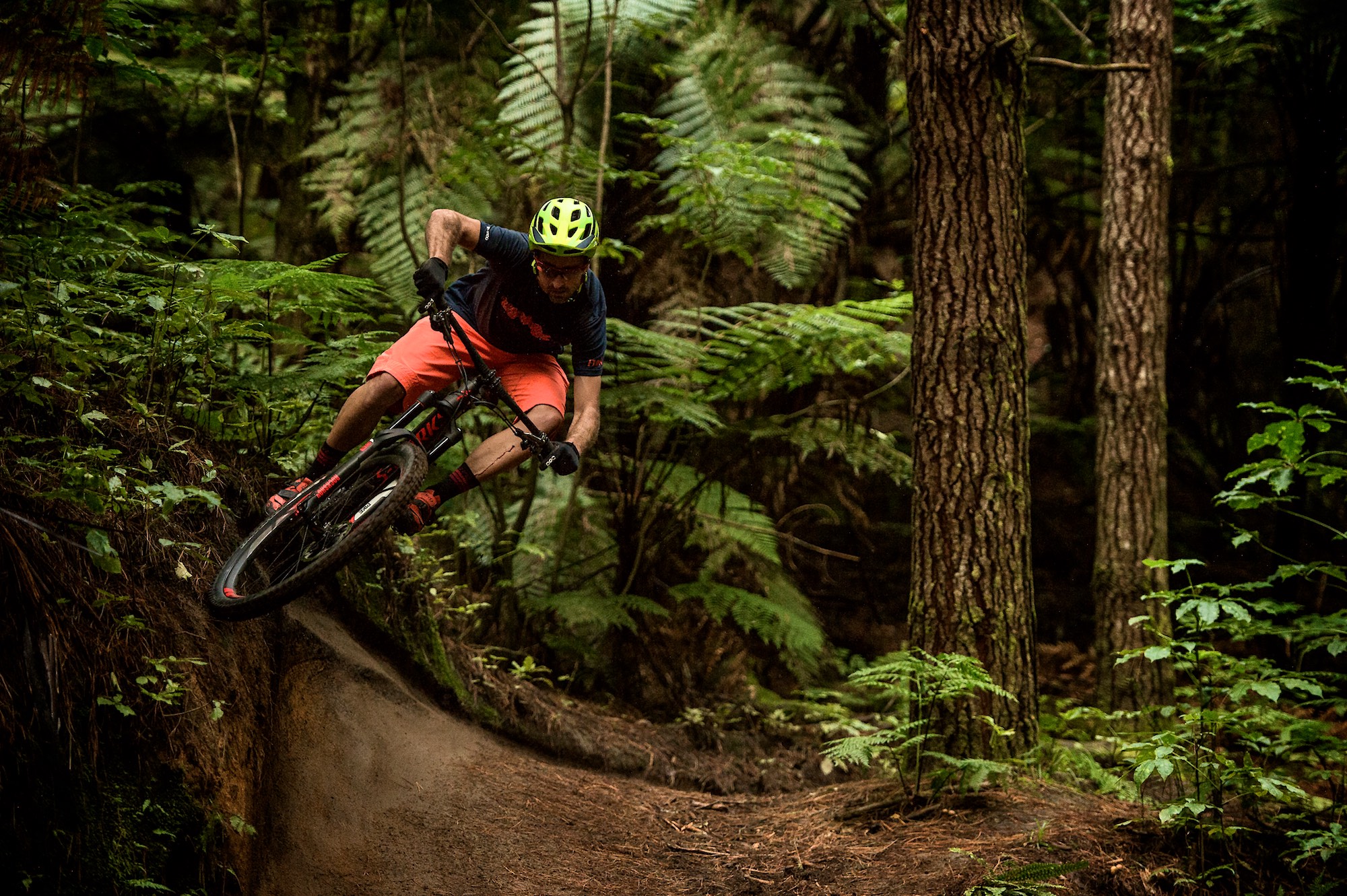 Tested: 2016 Specialized Stumpjumper FSR 29 & 650B