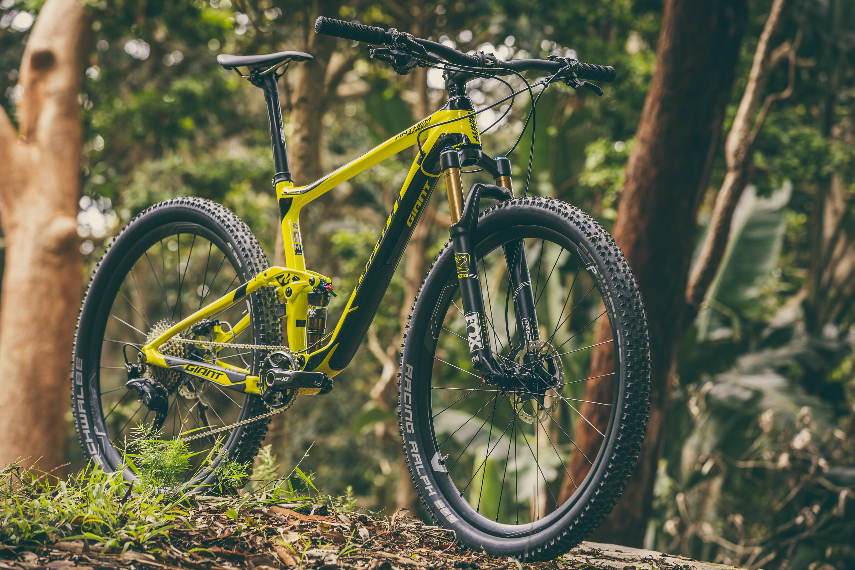 Flow's First Bite - Giant Anthem Advanced 27.5 1