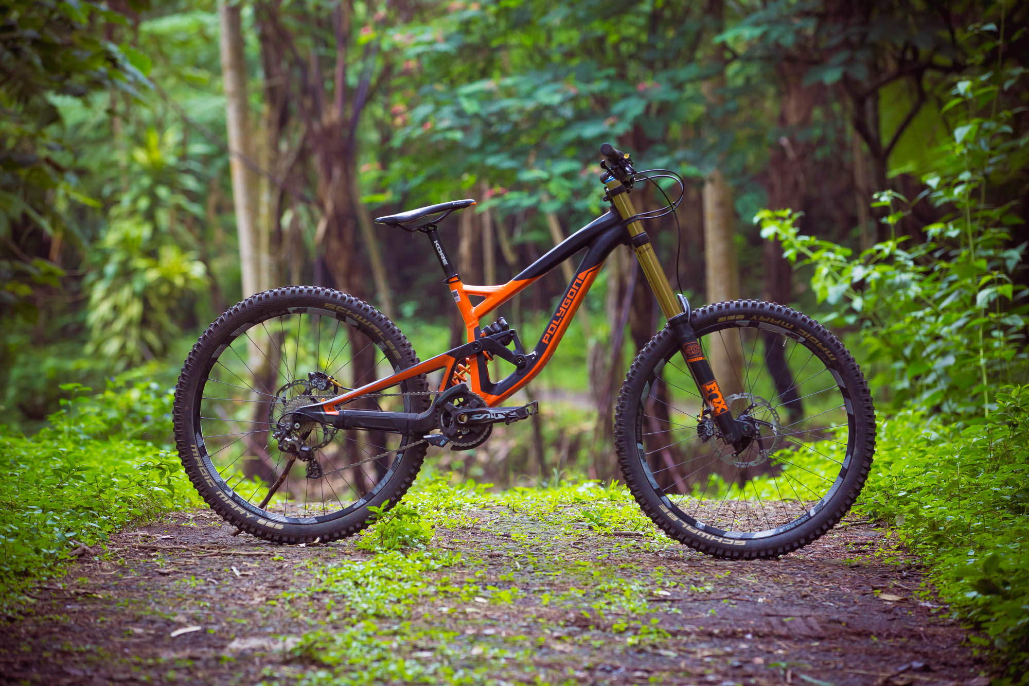 polygon dh bike