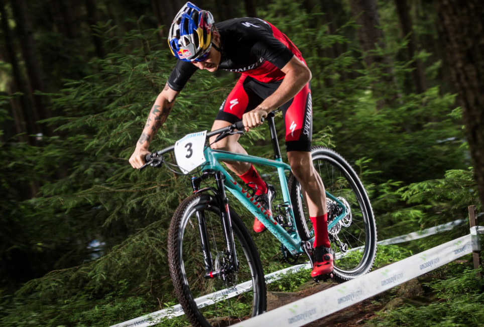 SPECIALIZED FESTINA ジャンク　訳あり SPECIALIZED FESTINA ジャンク 訳あり