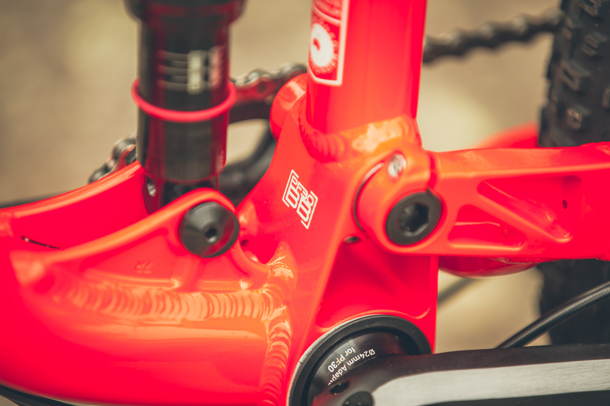 Flow's First Bite: Avanti Competitor S Plus 2