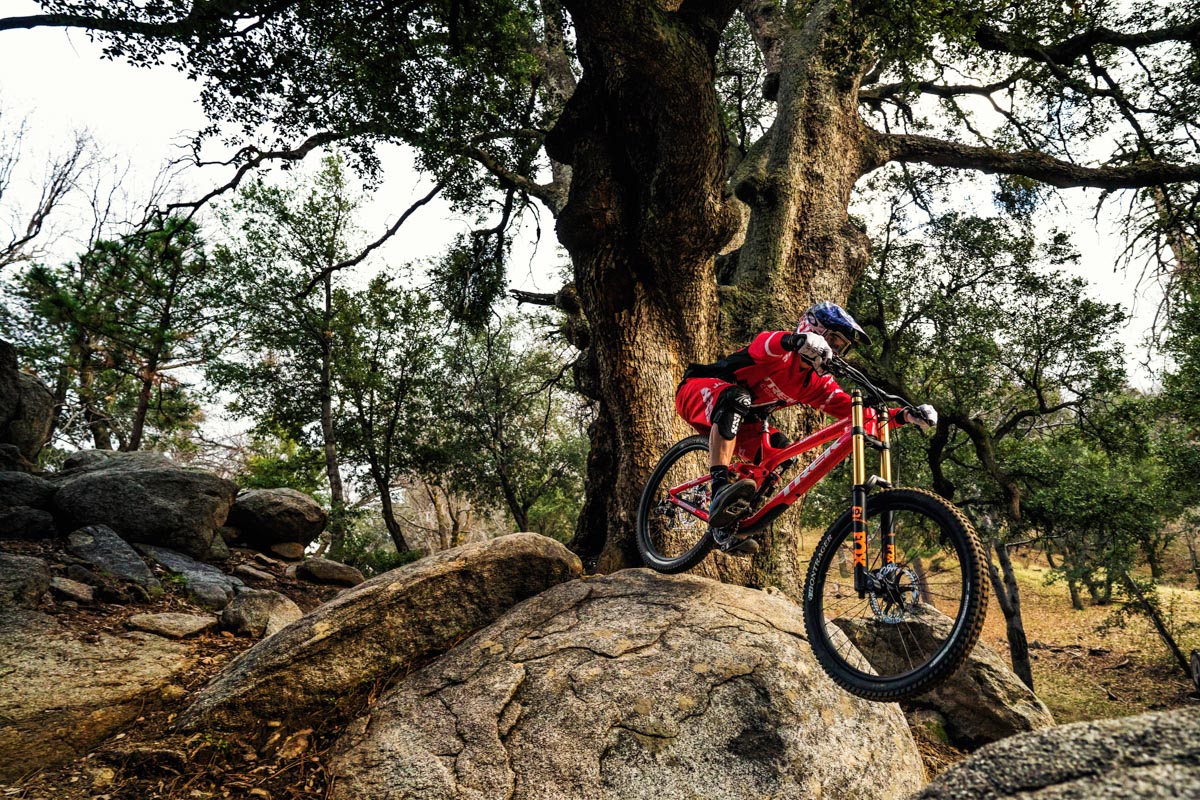 Trek's All-New Session, Including a 29er Frame & Fork Package