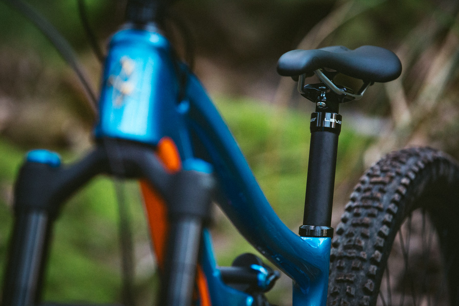 Reviewed: Ibis RipMo