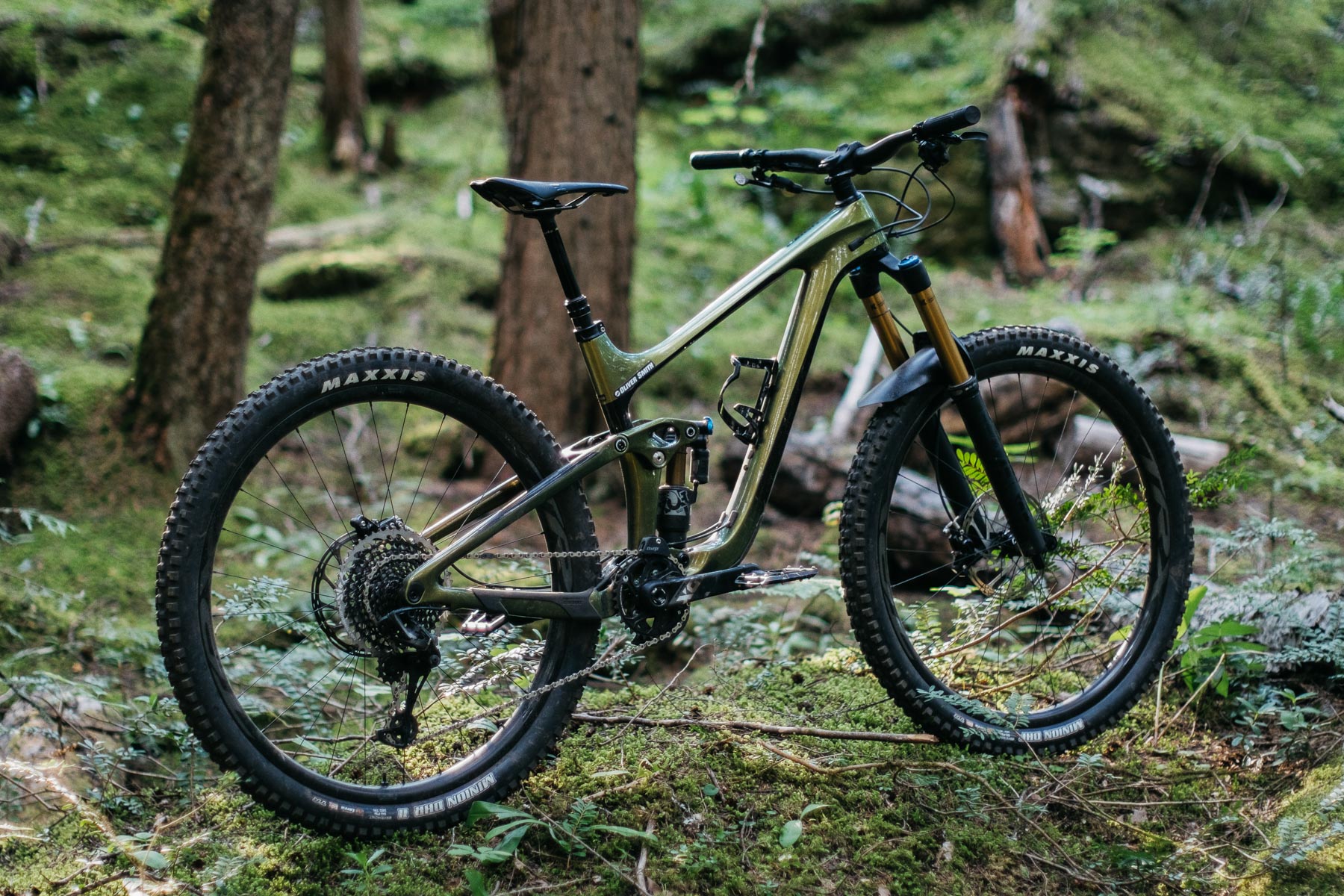First Ride Review | 2020 Giant Reign Advanced Pro 29er 0