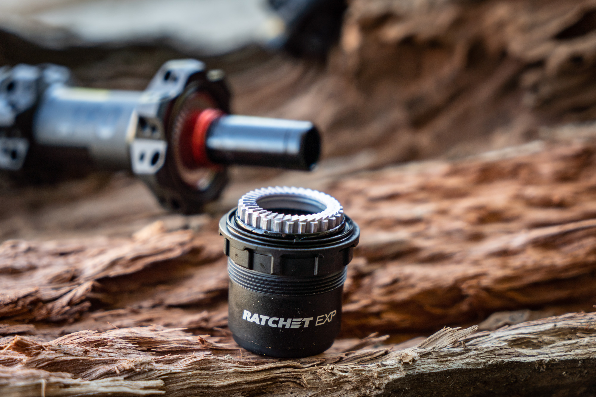 Ressort De Ratchet DT Swiss – Molla Spring Ratchet EXP R2 Pour Moyeux (Neuf)