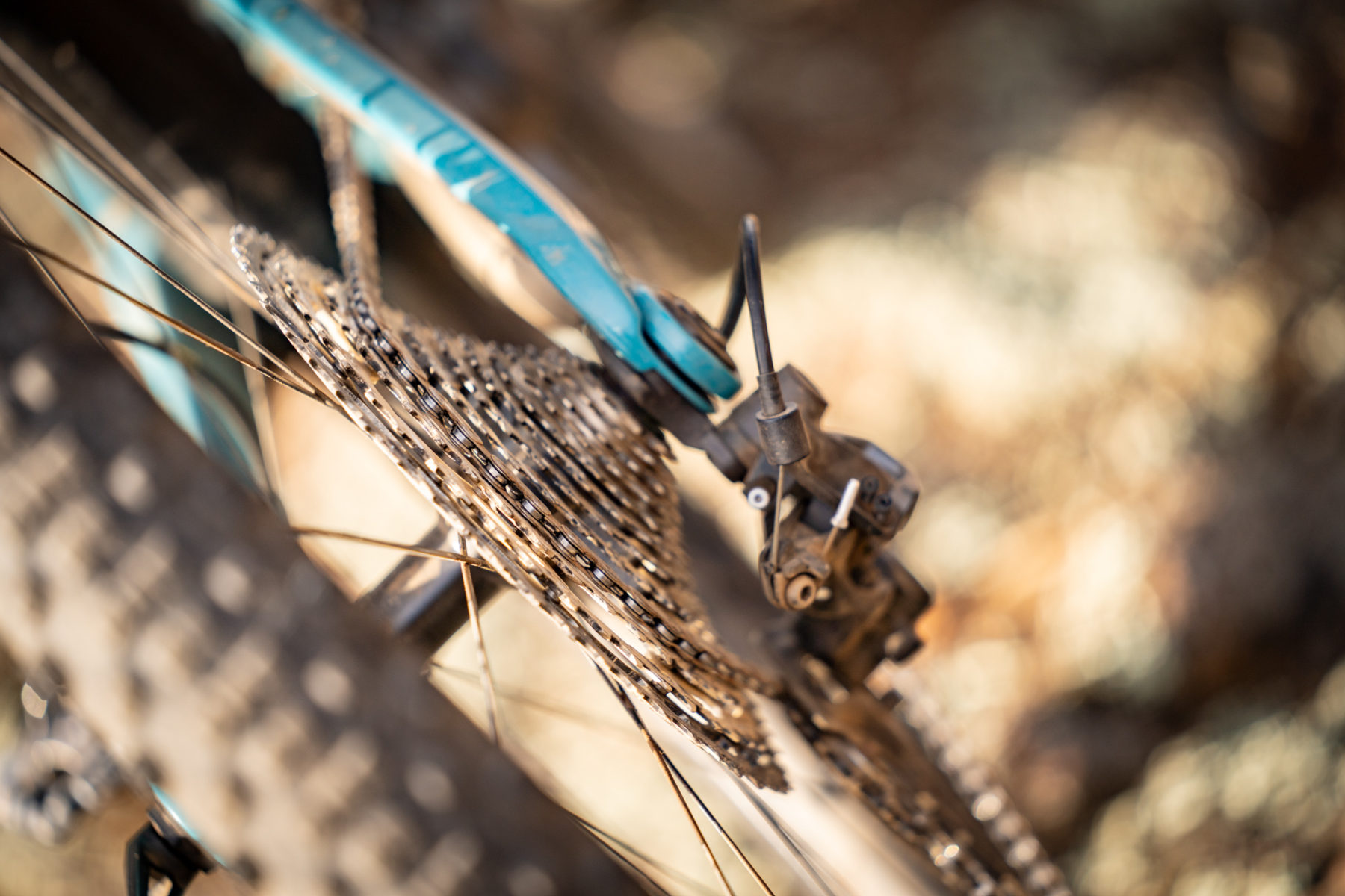 shimano slx m7100 10-51t cassette 12-speed