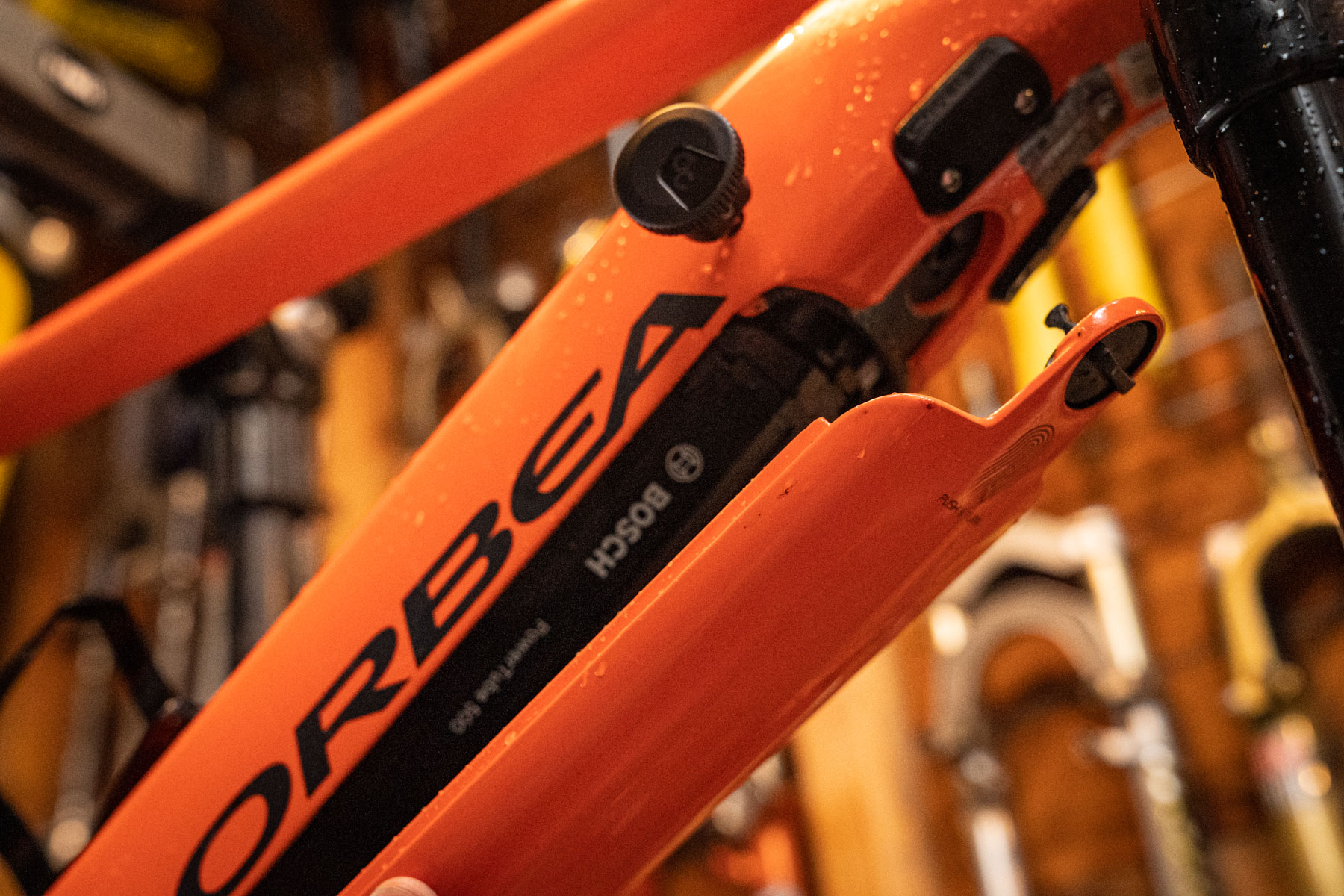 REVIEW | Riding the Orbea Wild FS - A Bold and Brawny Tech Boss