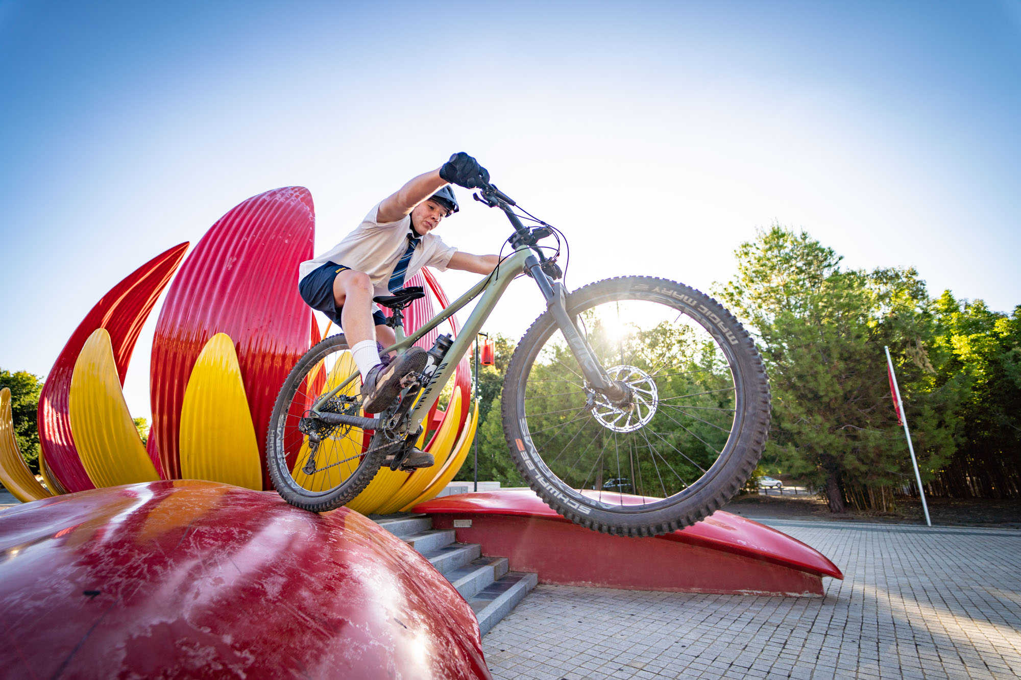 Canyon Stoic Review | More yahoos for less dollarydoos!