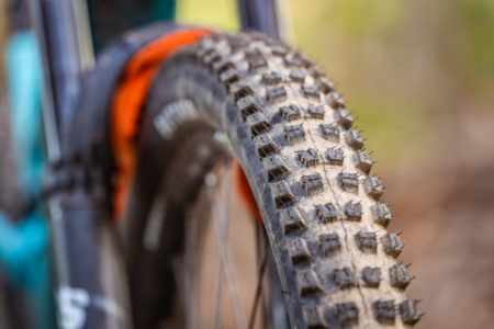 Specialized Purgatory Tubeless Mountain Tires (Black