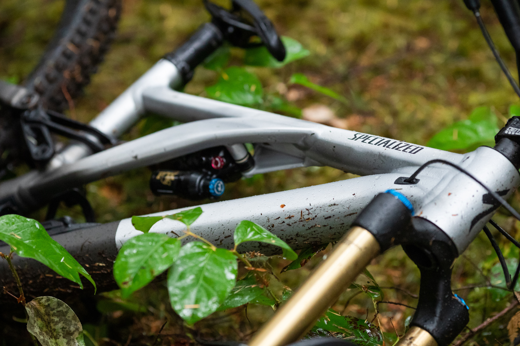 The 2022 Specialized Stumpjumper EVO arrives in alloy with 2