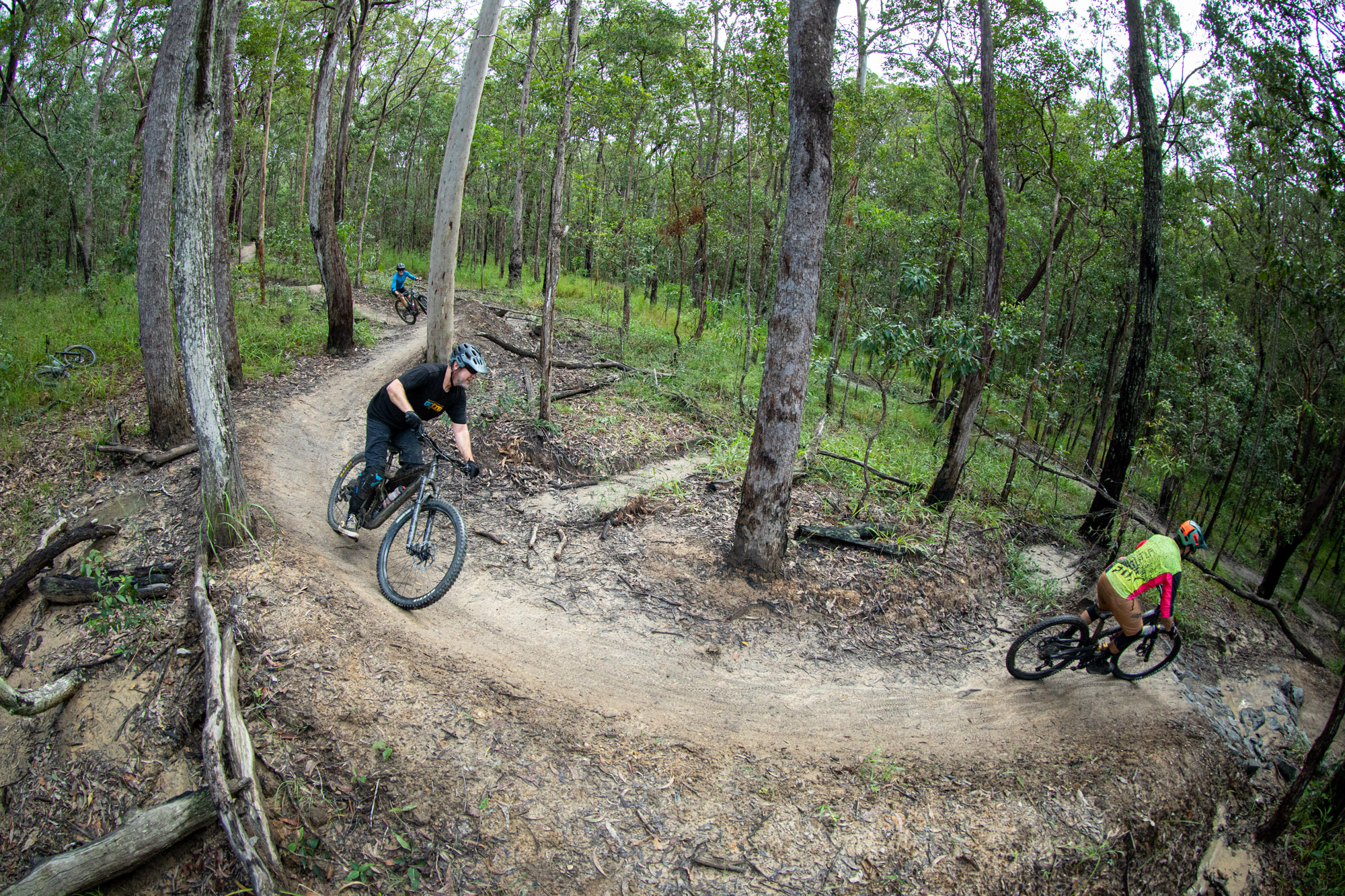 QPWS aiming reducing Nerang trail network by nearly half