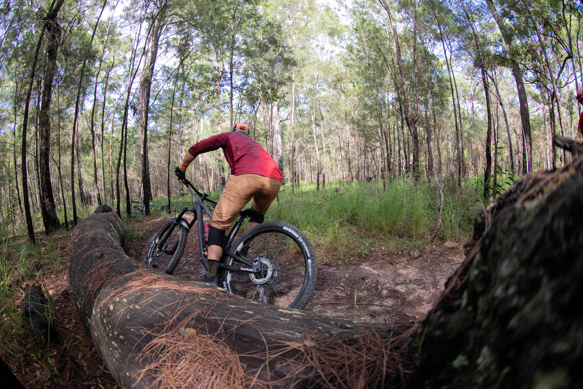QPWS aiming reducing Nerang trail network by nearly half
