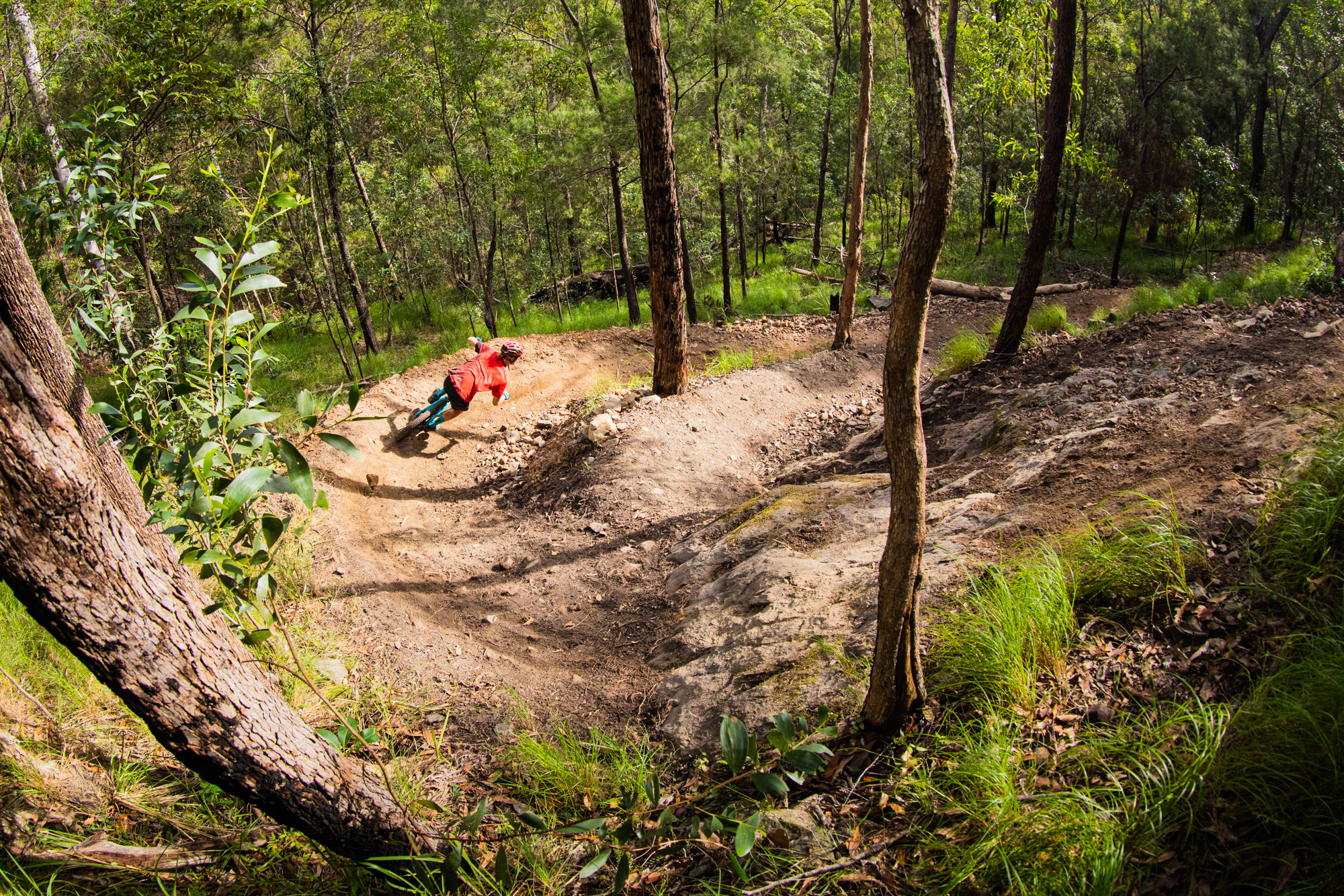 QPWS aiming reducing Nerang trail network by nearly half