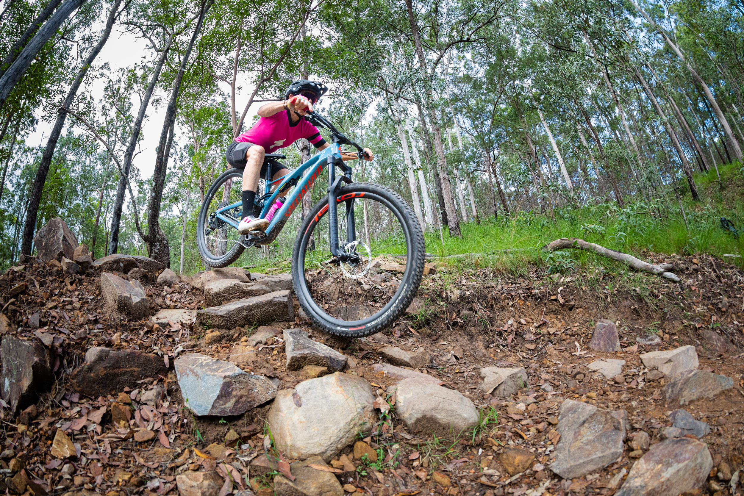 QPWS aiming reducing Nerang trail network by nearly half