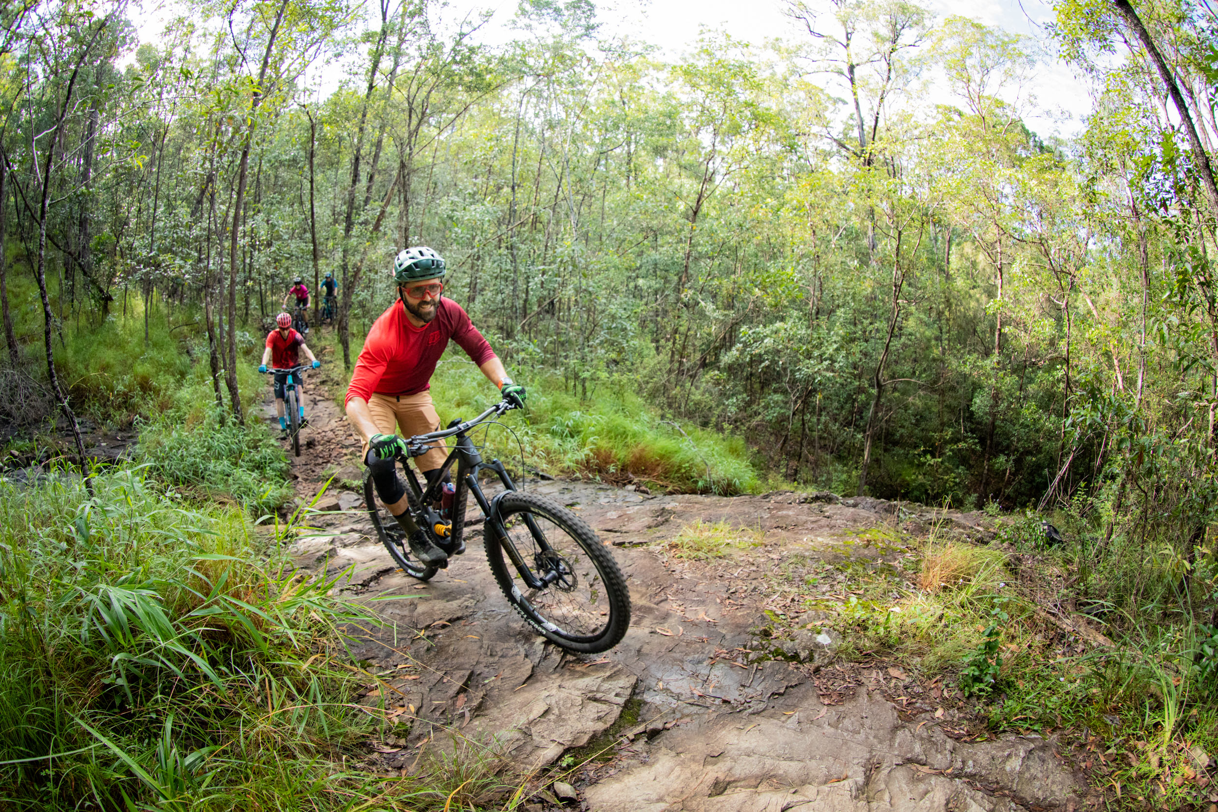 QPWS aiming reducing Nerang trail network by nearly half