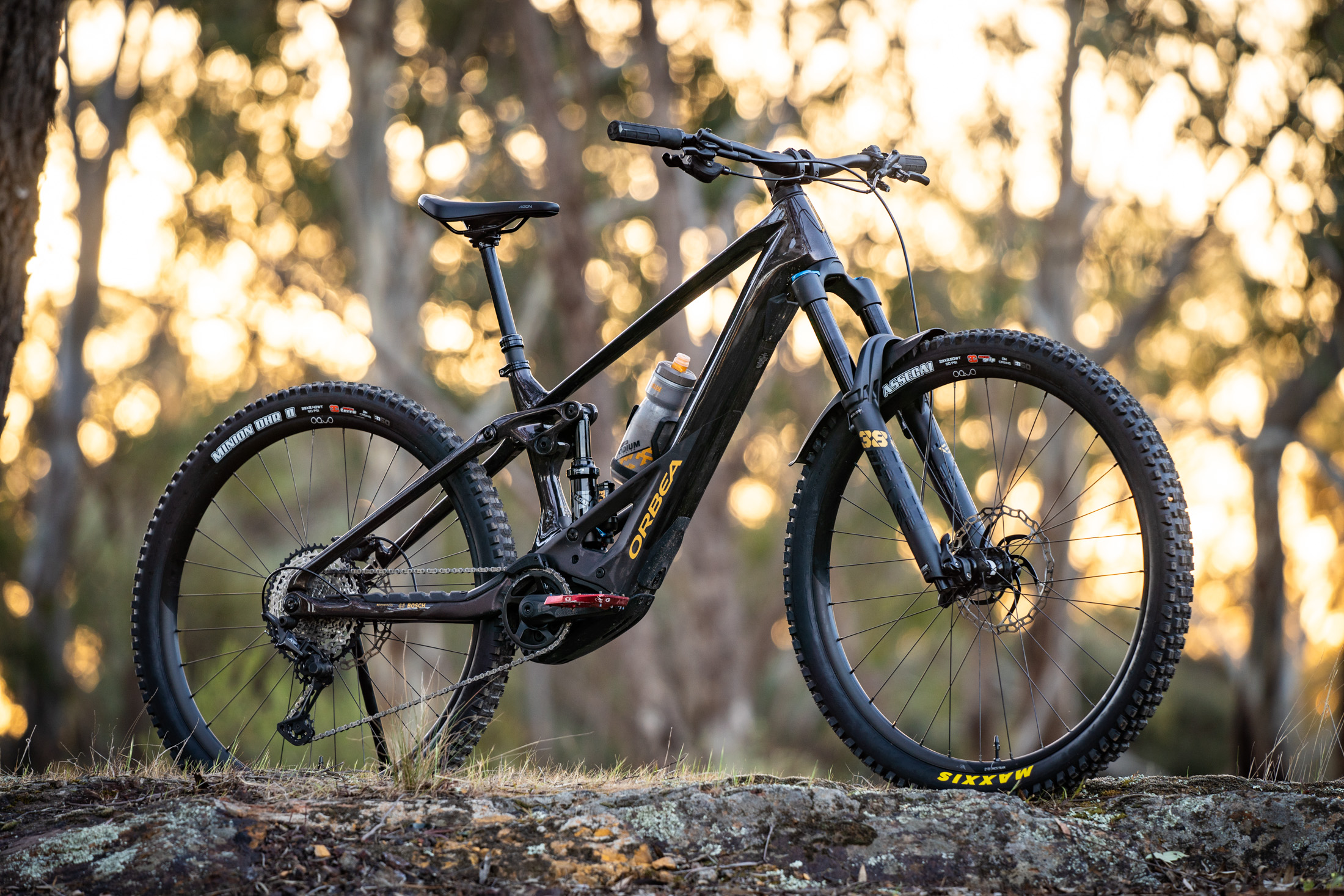 マキシスMINION DHR II & ASSEGAI 29インチタイヤ