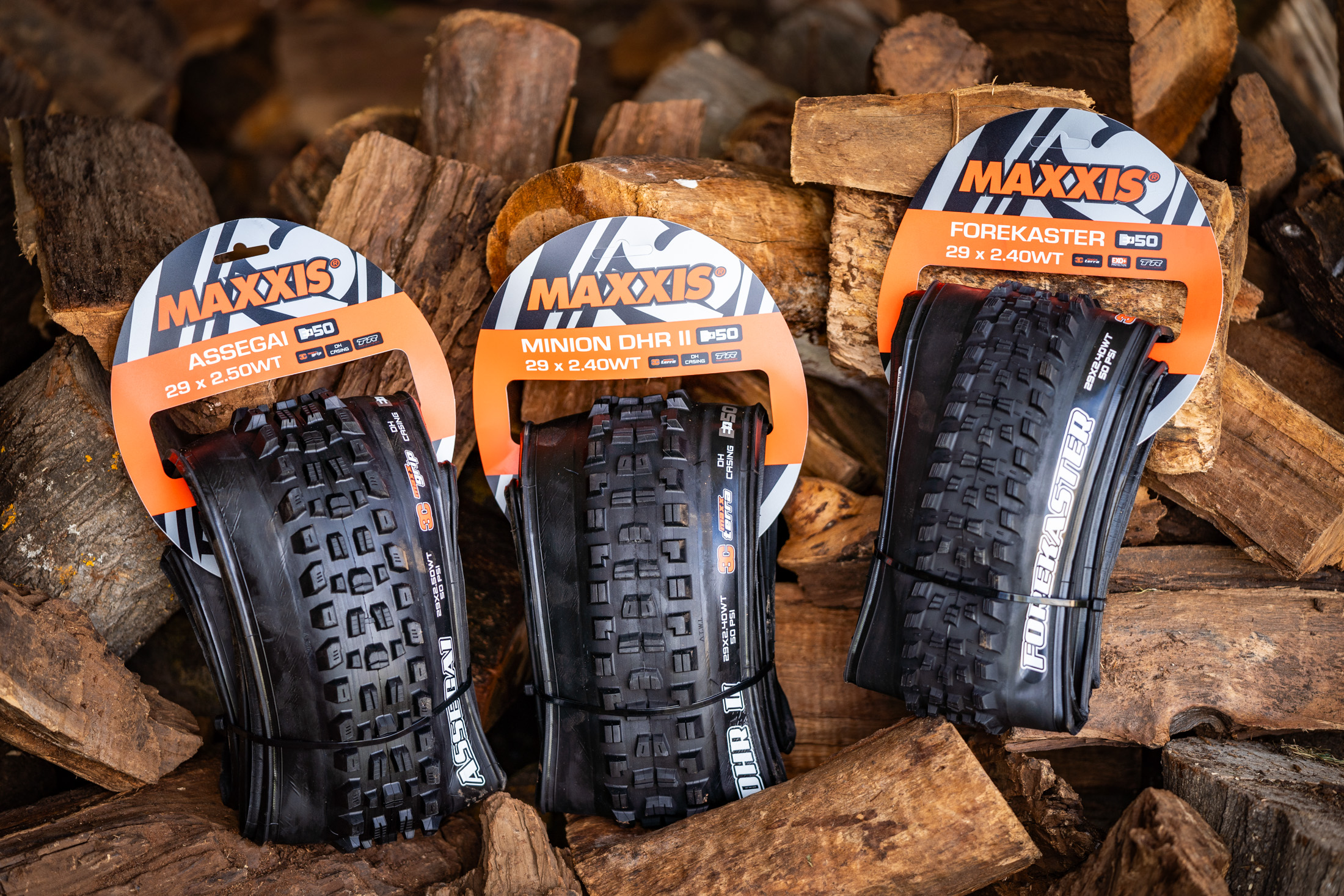 MAXXIS MINION DHF ASSEGAI 29インチセット Maxxis Minion DHF 29