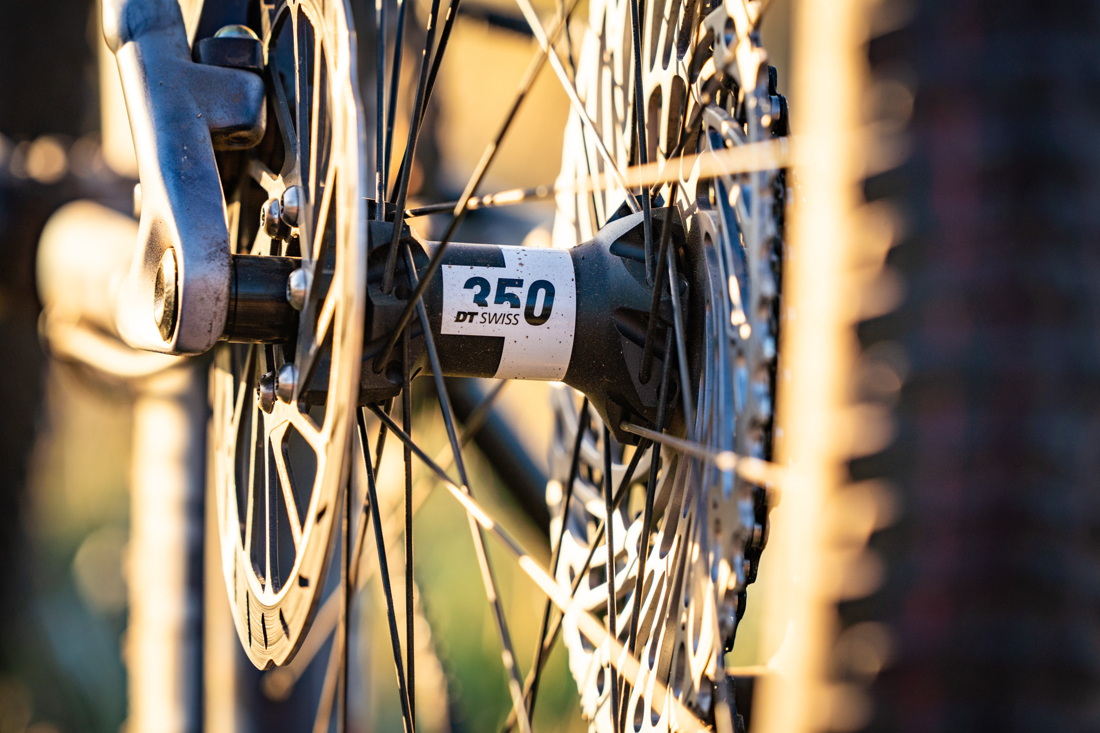 Roval Control Alloy Wheel Review | Light, smooth and well-priced