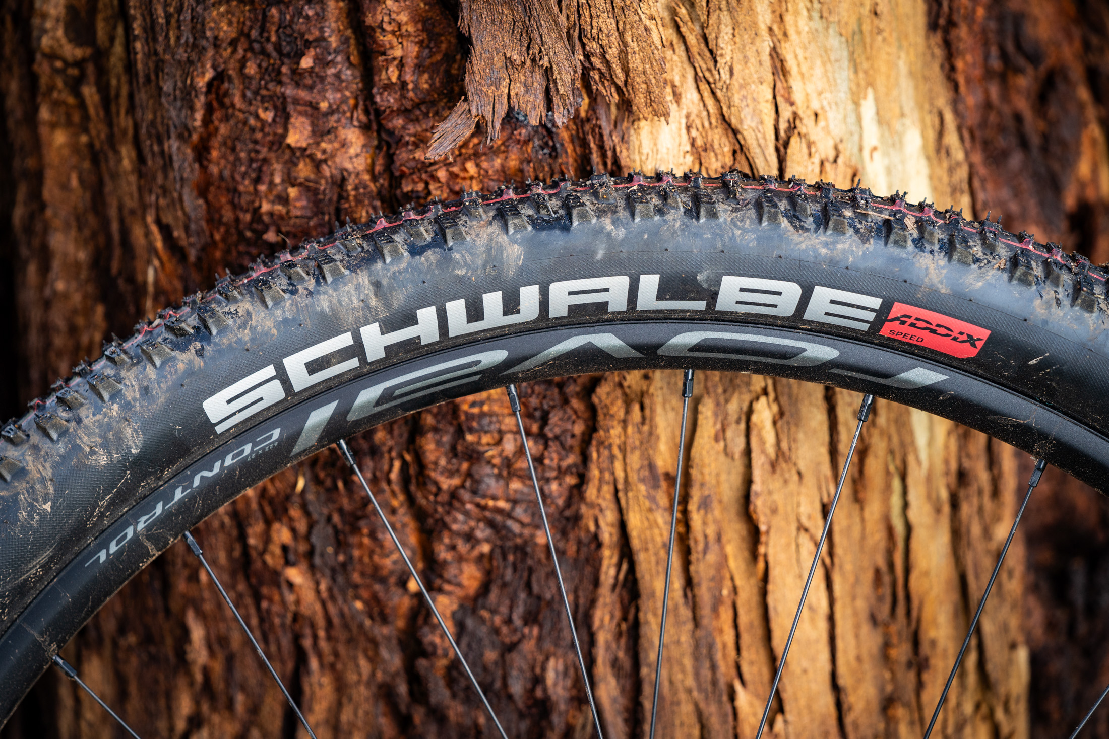 Roval Control Alloy Wheel Review | Light, smooth and well-priced