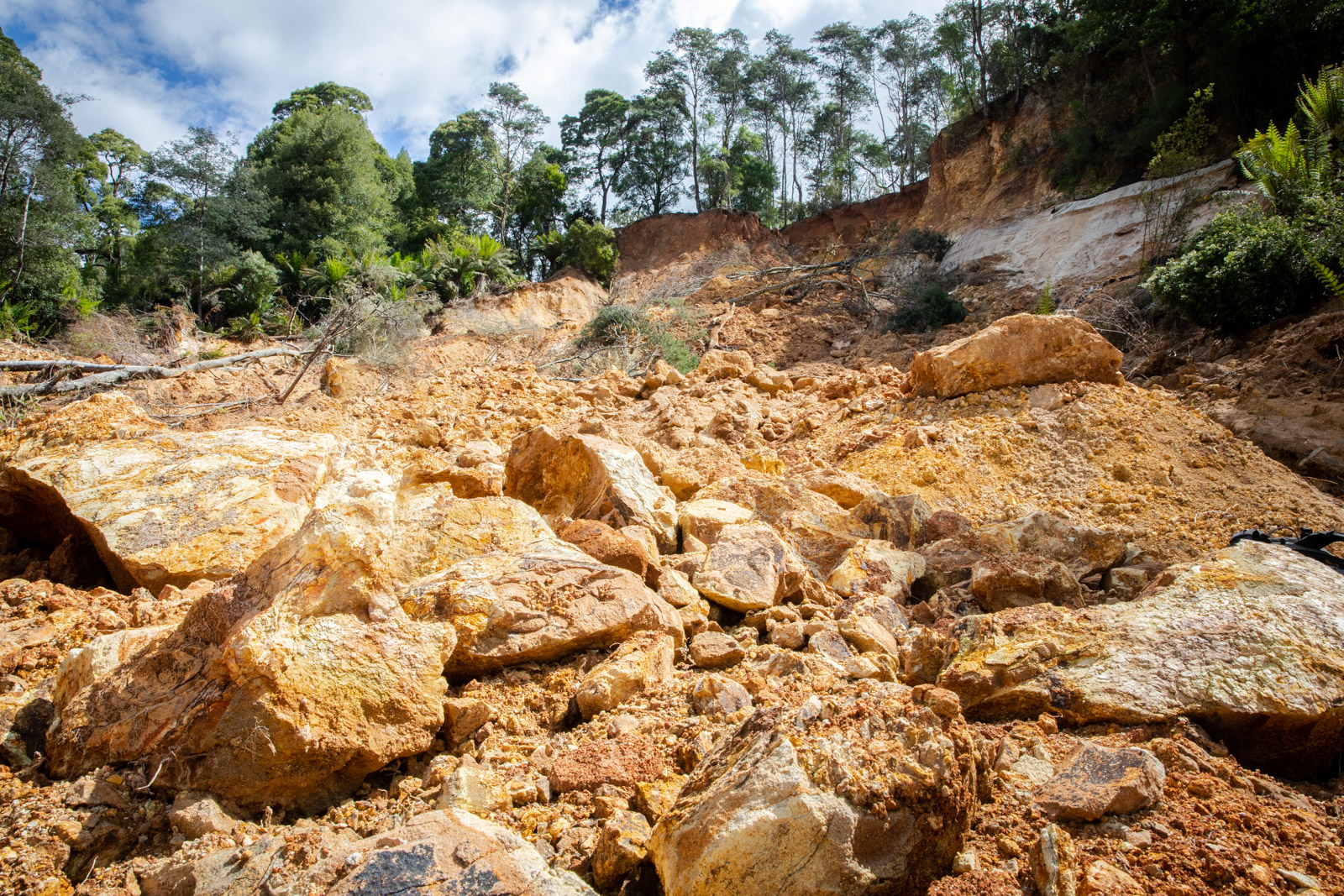 From landslides to infinity berms | What's the latest from Blue Derby?