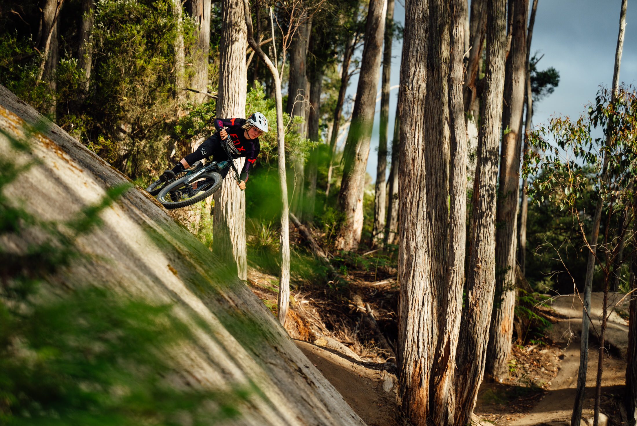 From landslides to infinity berms | What's the latest from Blue Derby?