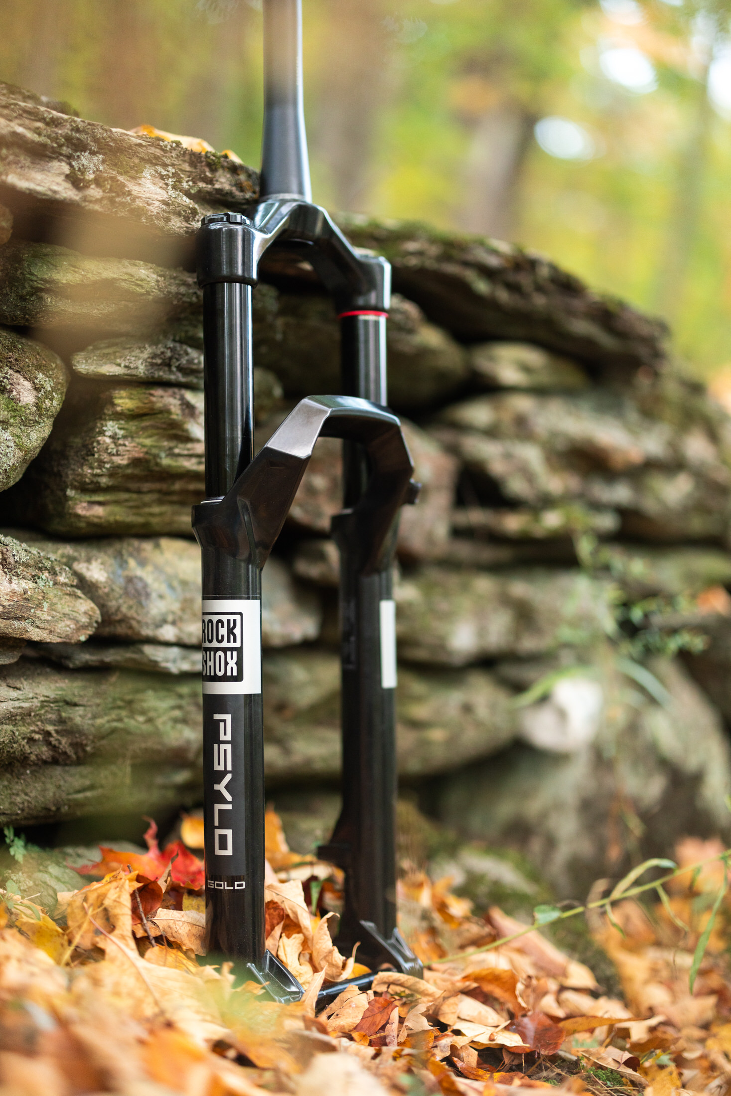 ROCKSHOX「ロックショックス」 PSYLO サスペンション Amazon | RockShox Psylo Gold Isolator RC サスペンション