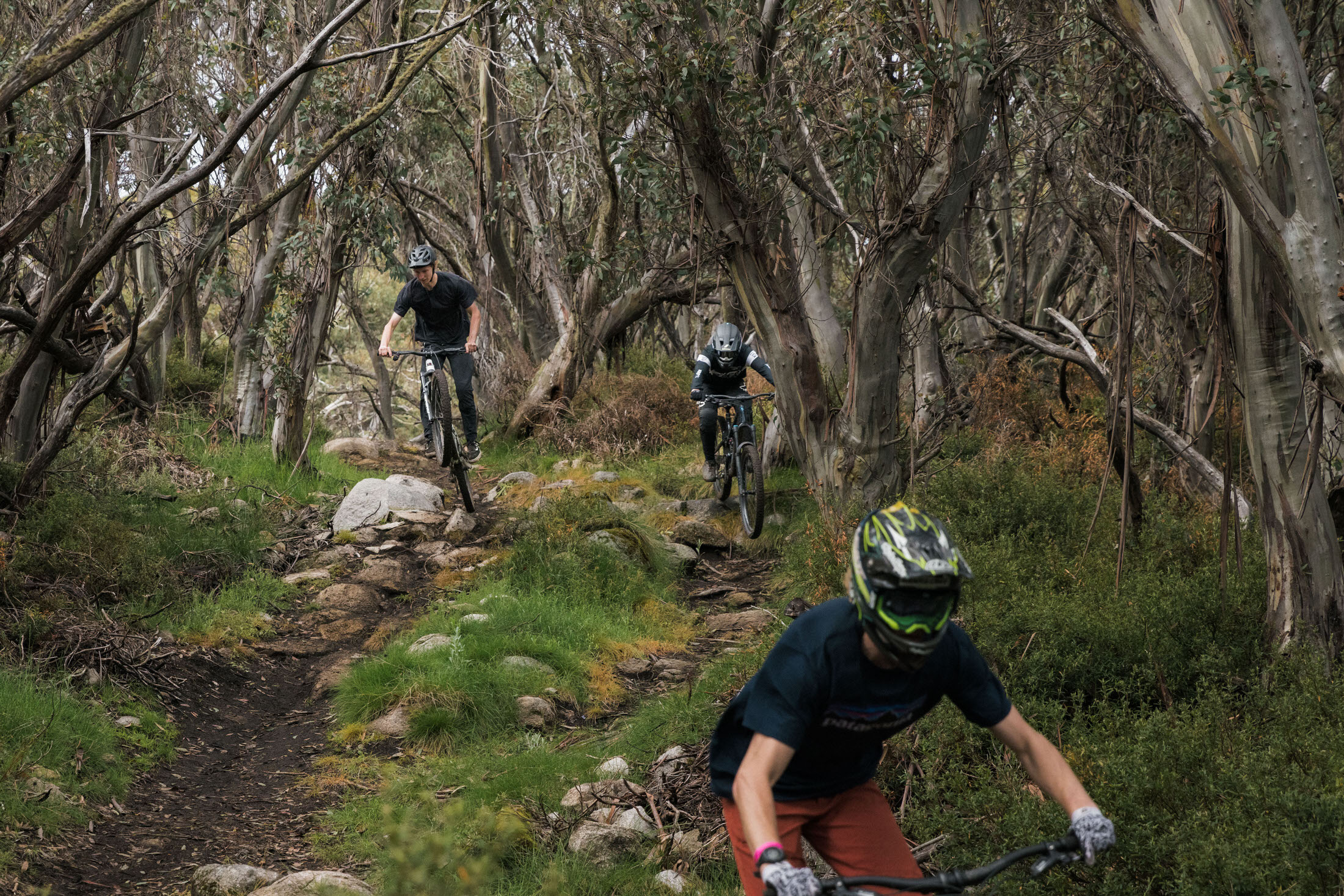 Lift Accessed Bike Parks In Australia | Why do chairlifts run in some ...