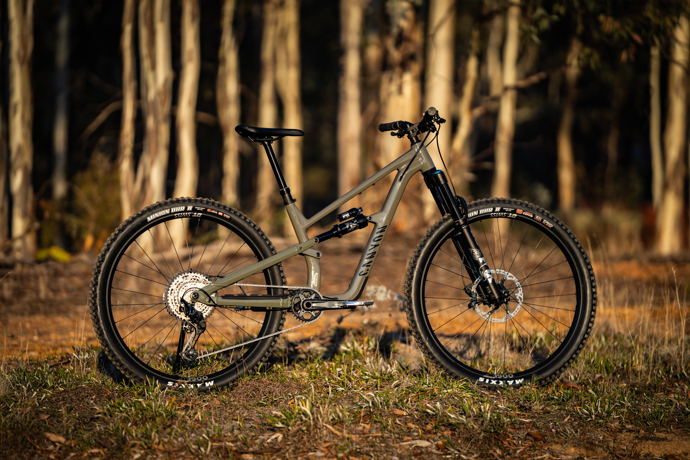 Canyon Spectral AL 6 Review | A promising package with potential
