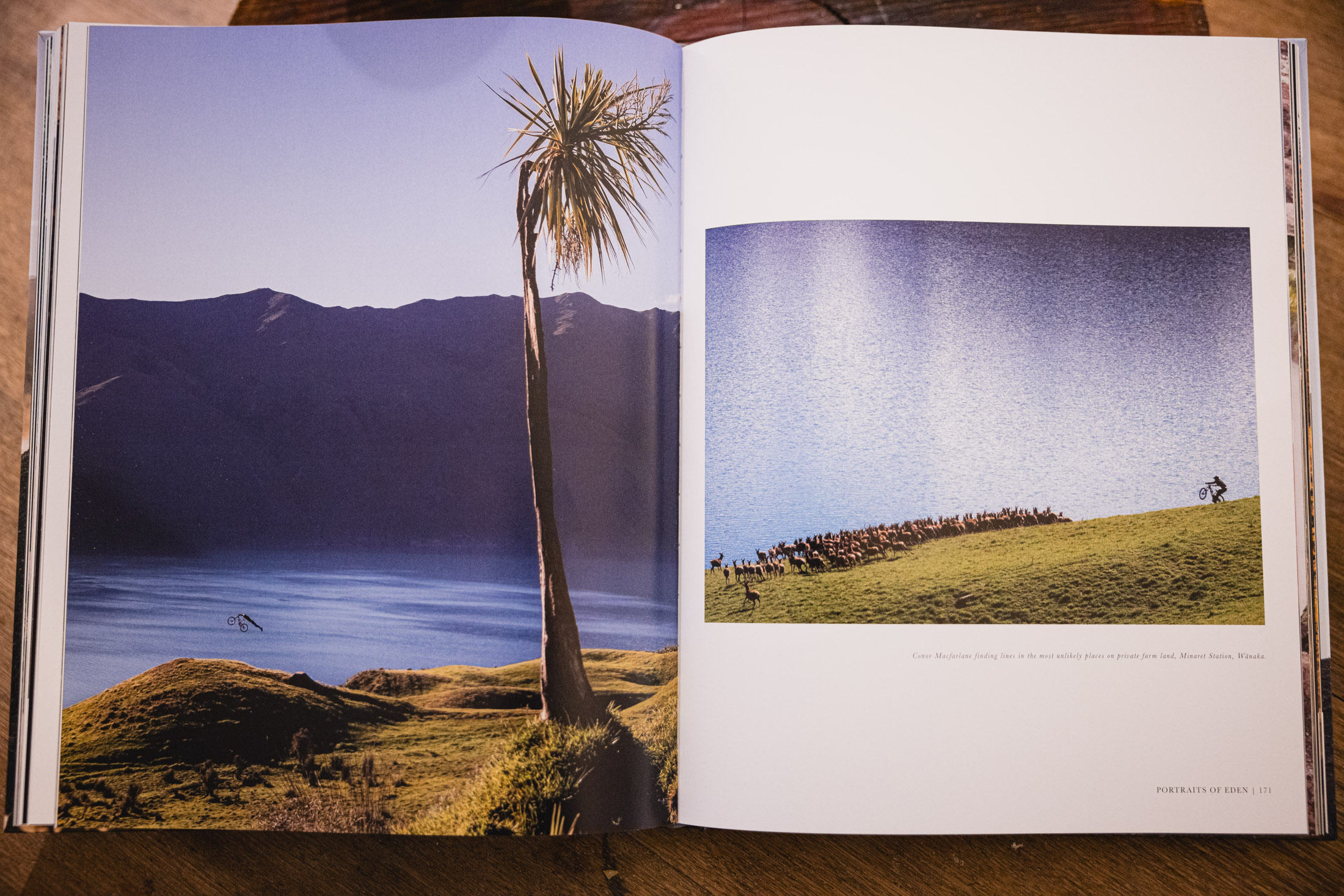 Eden: A Portrait of Mountain Biking in Aotearoa New Zealand
