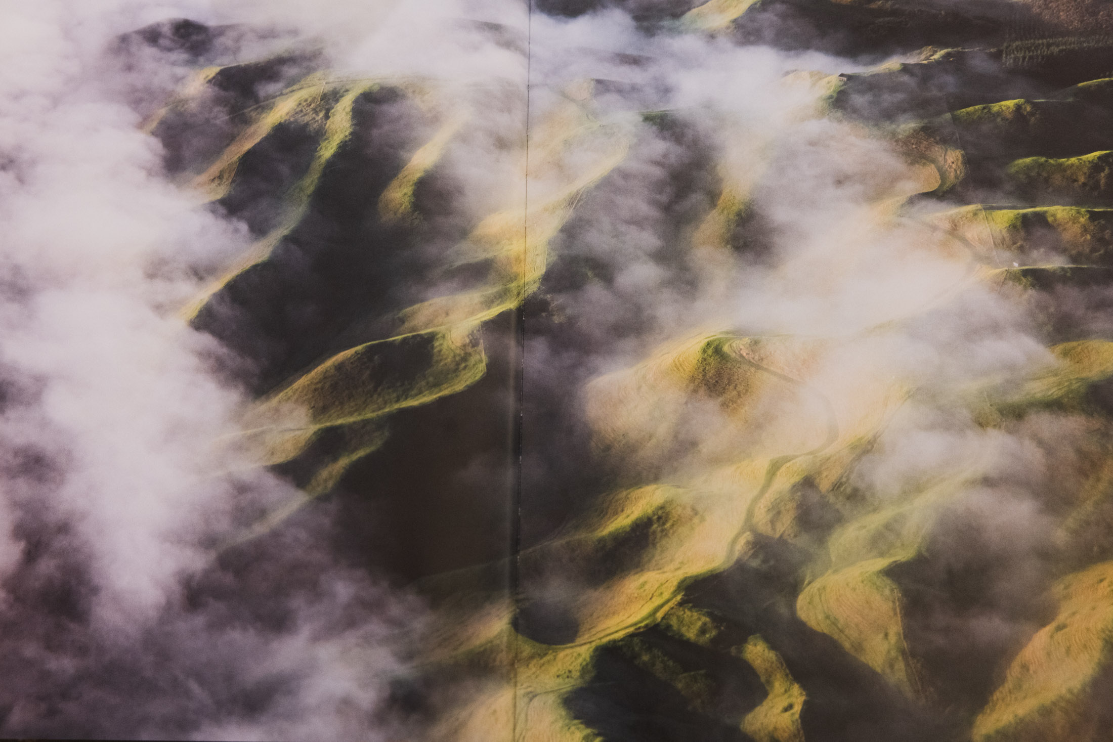 Eden: A Portrait of Mountain Biking in Aotearoa New Zealand