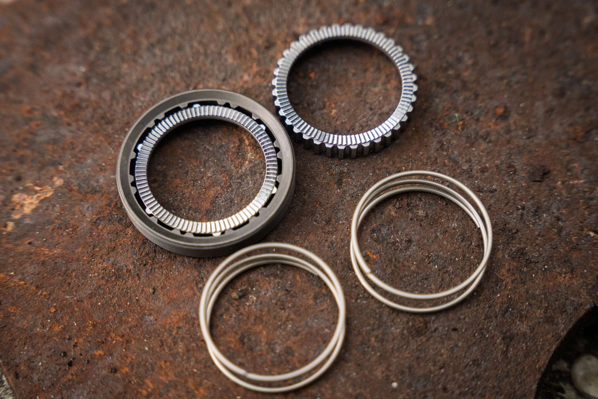 Fresh Produce | The DT Swiss DEGdf anti-pedal kickback kit is