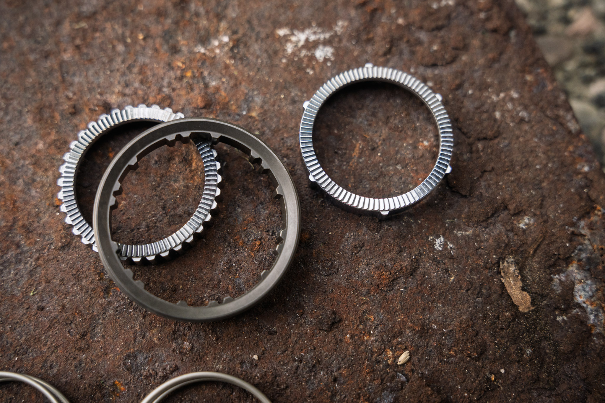 Fresh Produce | The DT Swiss DEGdf anti-pedal kickback kit is