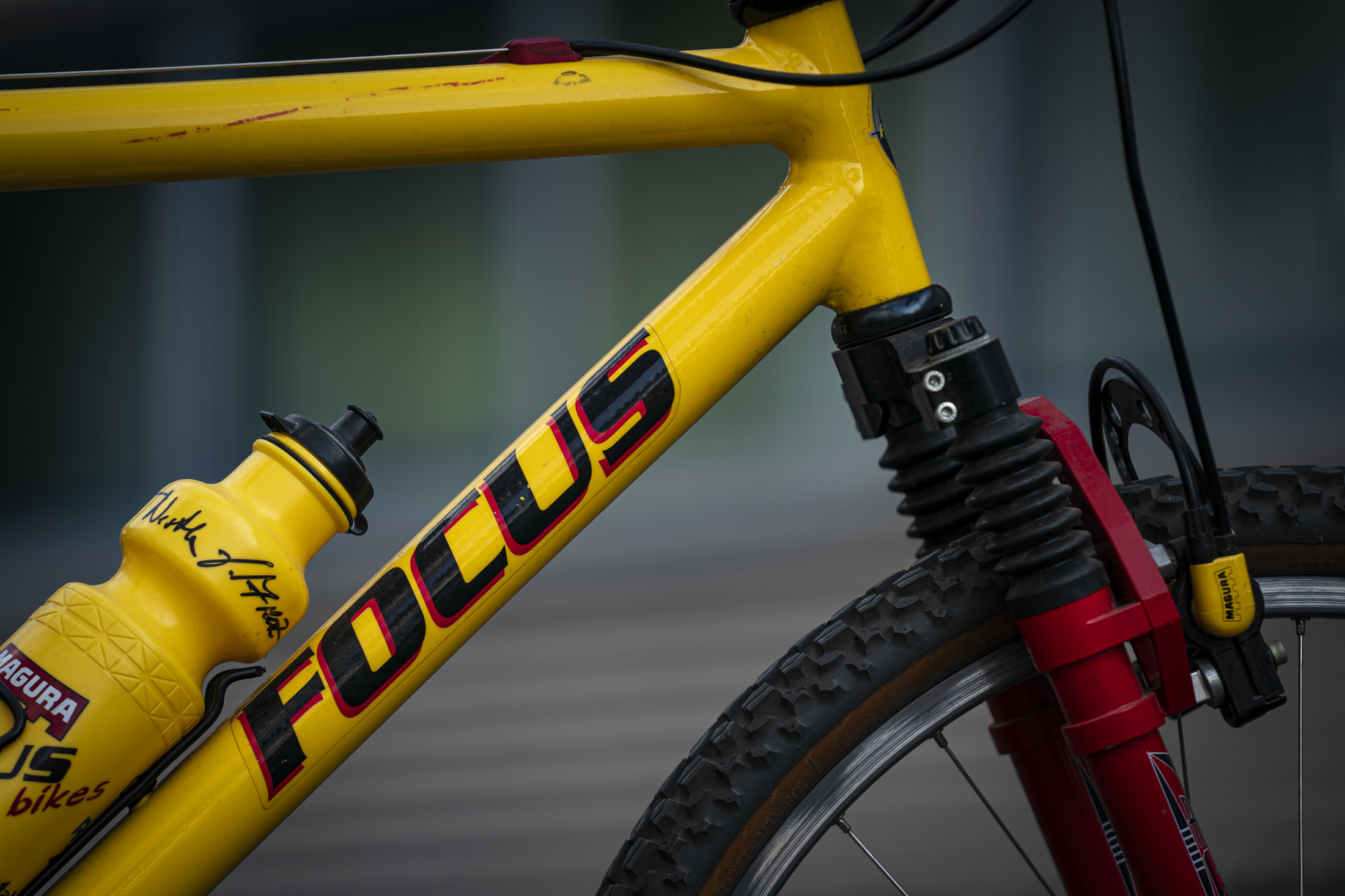 Inside the Belgian made thermoplastic FOCUS Jam² Next