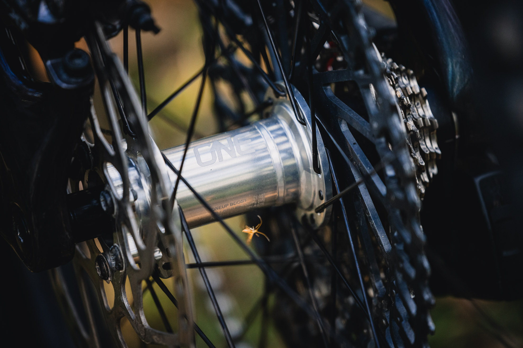 Fresh Produce | OneUp Components Hubs