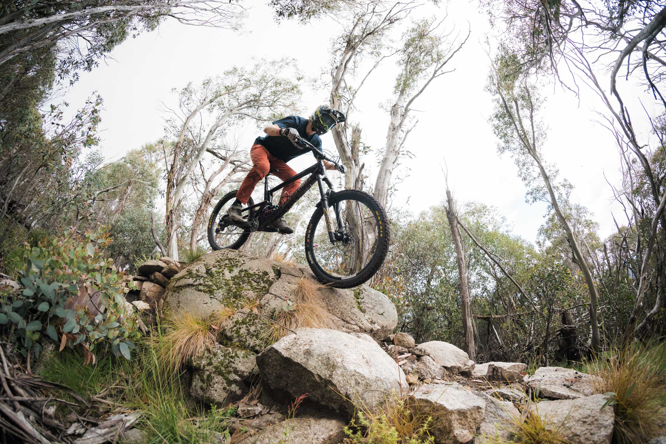 Mount Buller's Chairlift will run this summer!