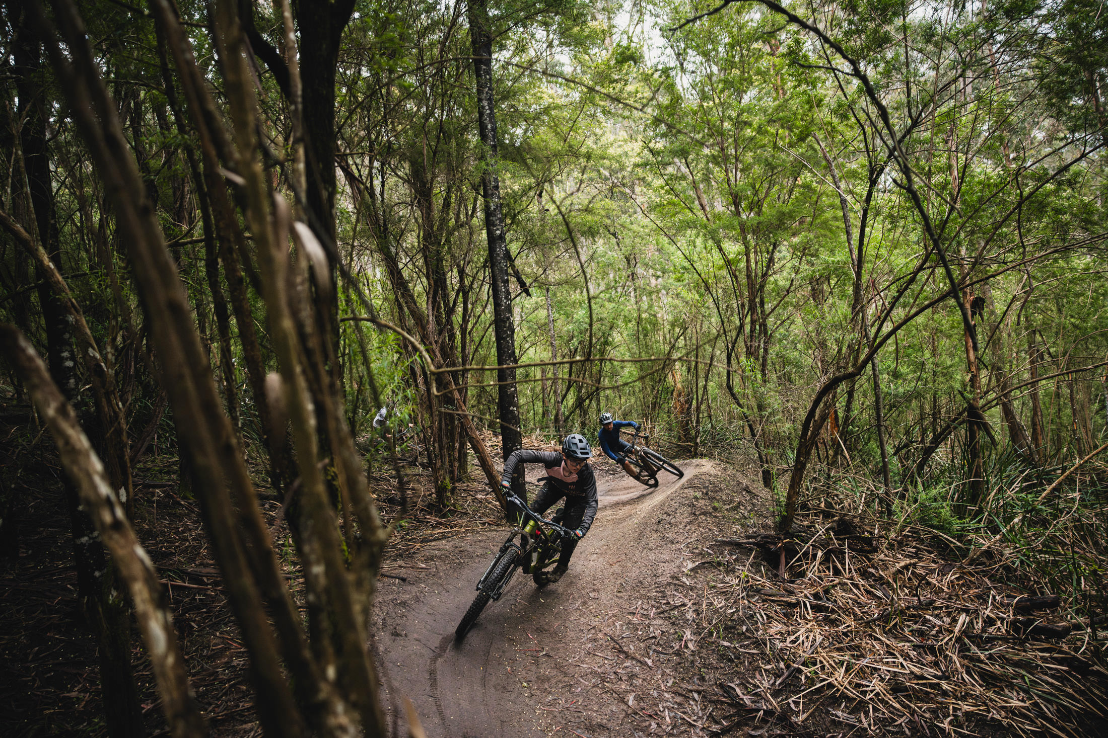 flowmountainbike.com