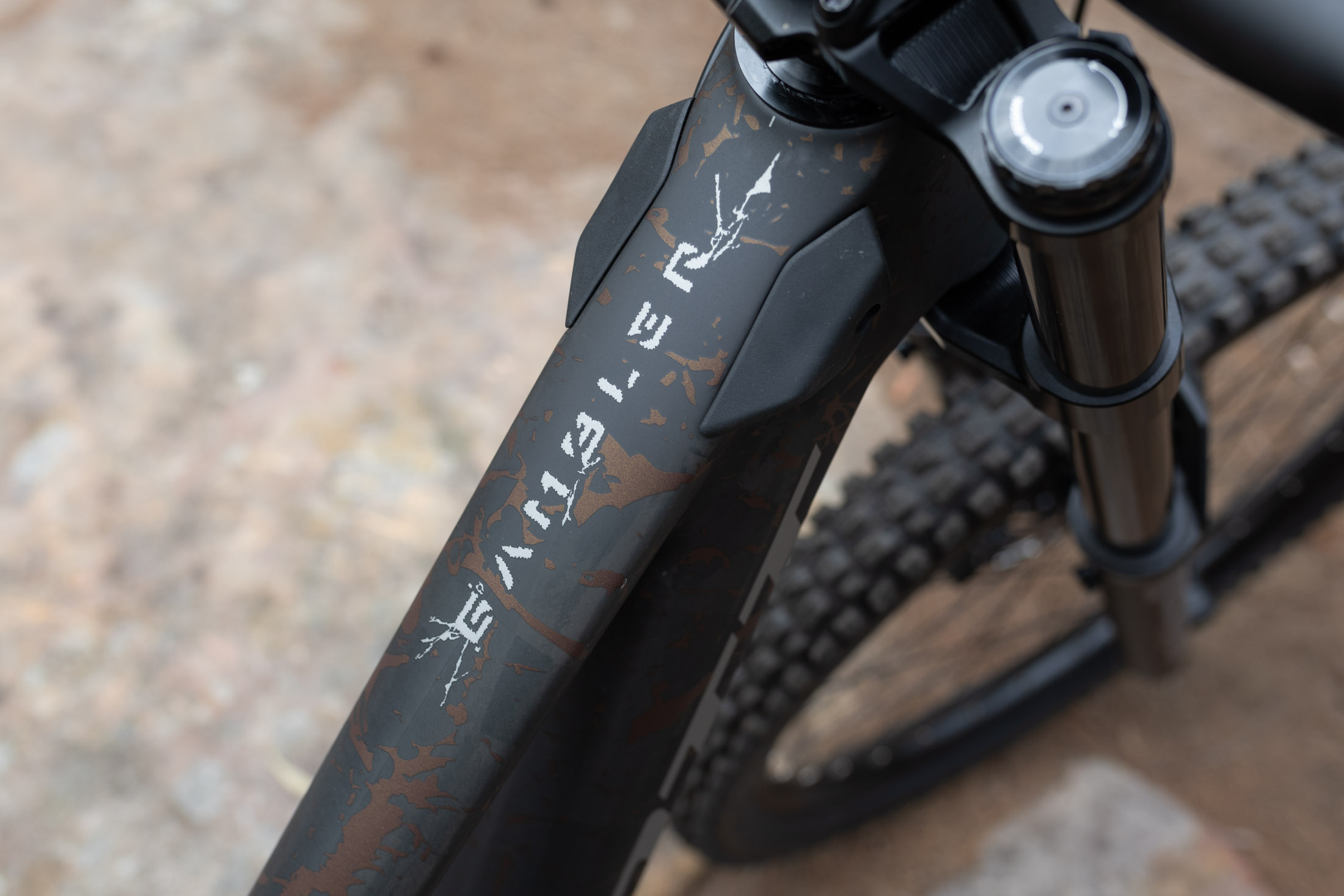 On Test 2026 Scott Gambler