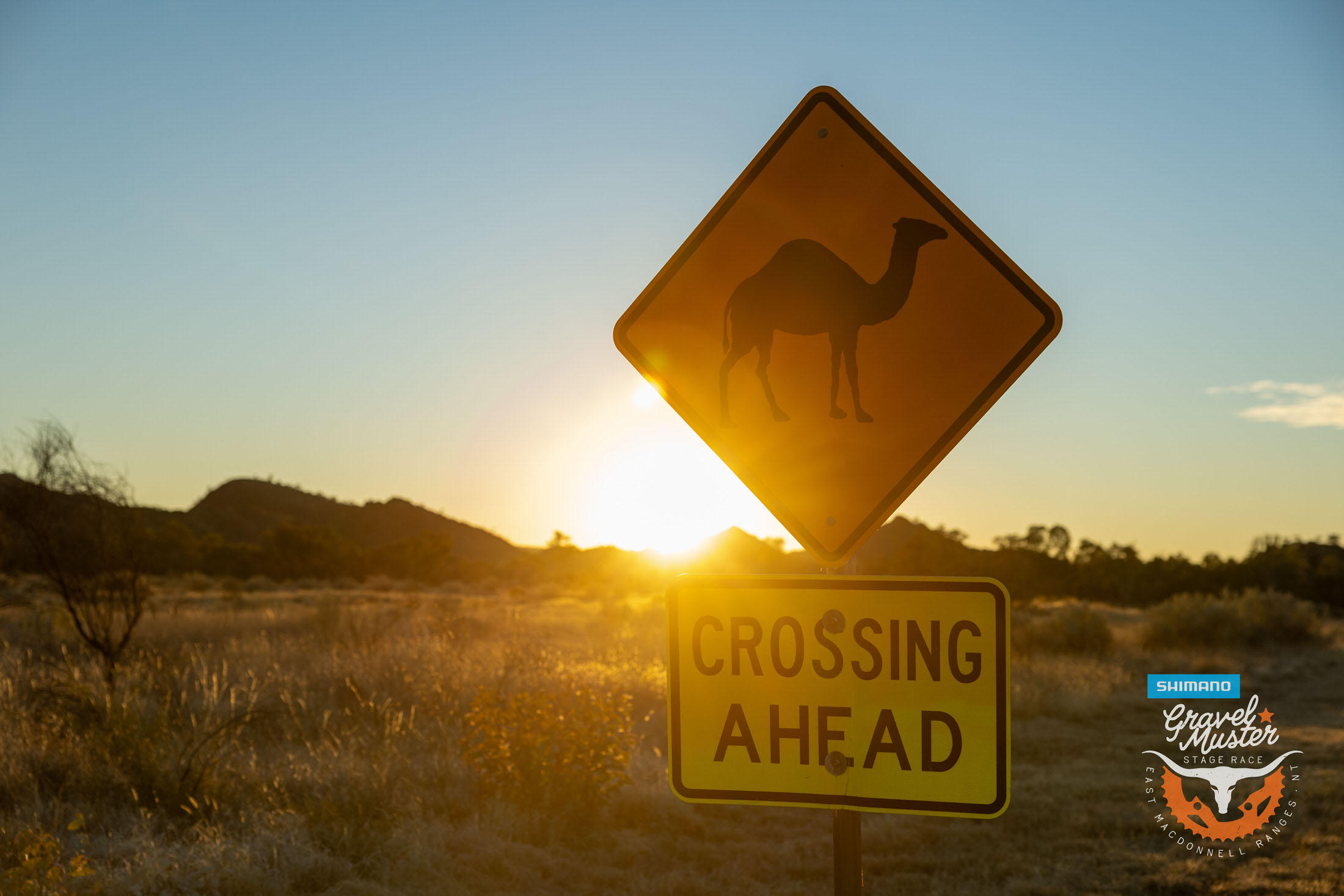 Shimano Gravel Muster