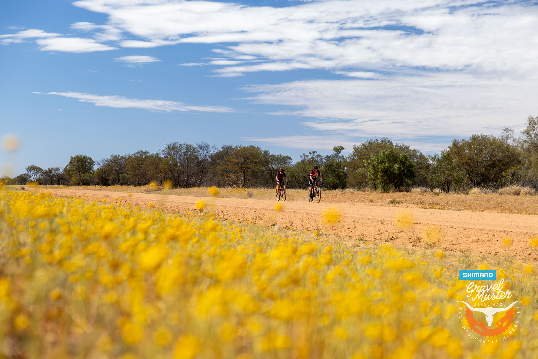 Shimano Gravel Muster