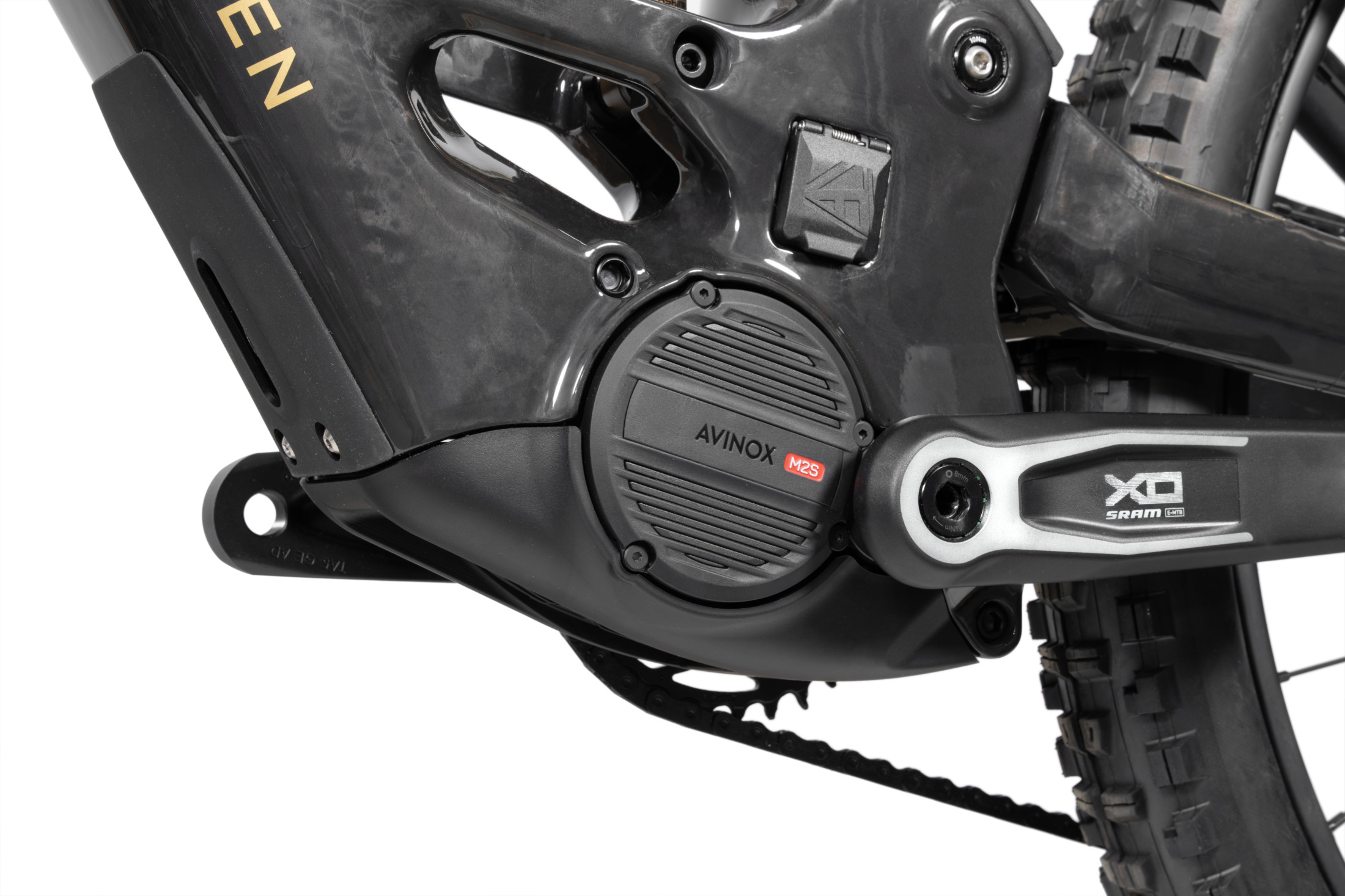 Forbidden Druid E avinox M2