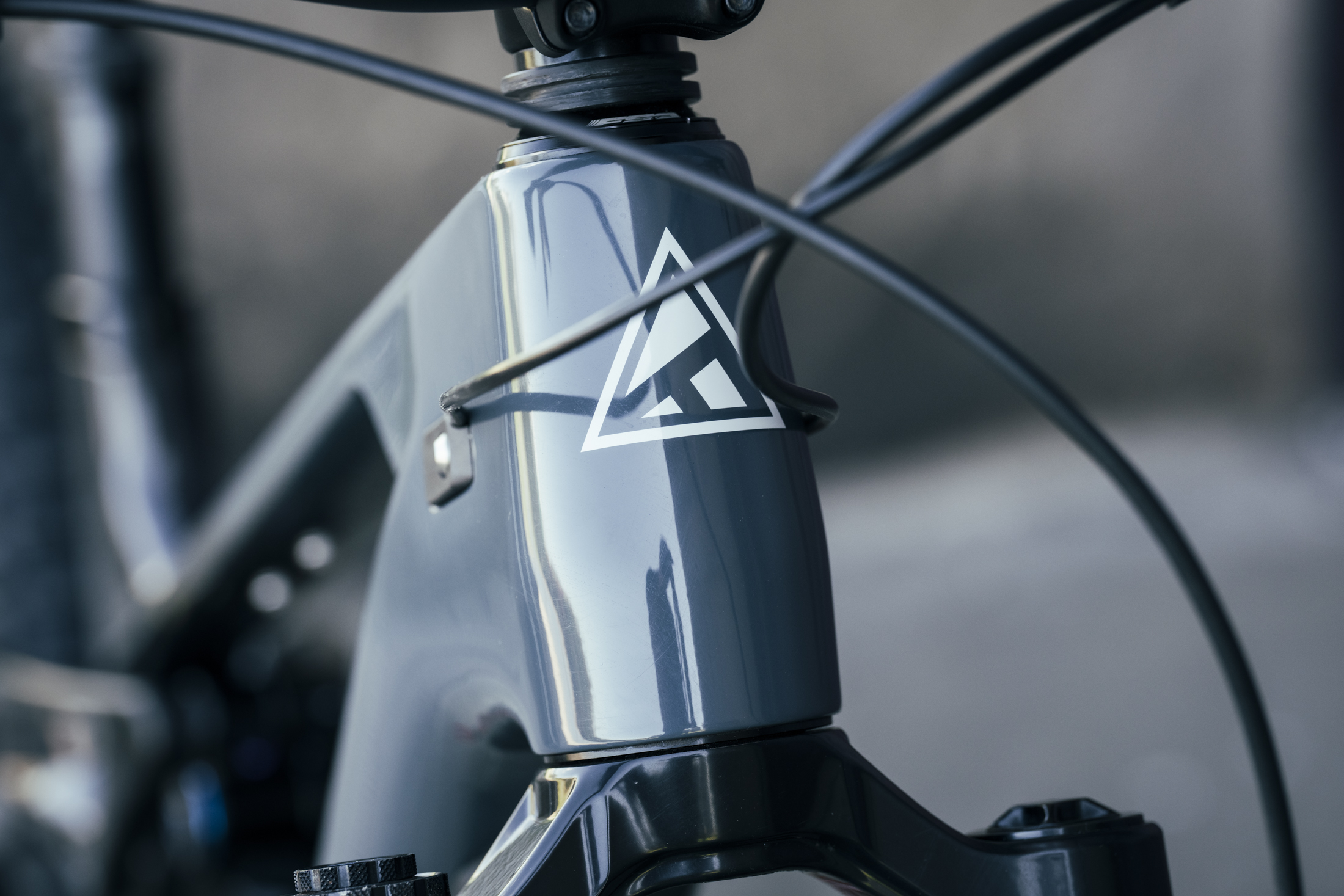 Forbidden Druid E avinox M2