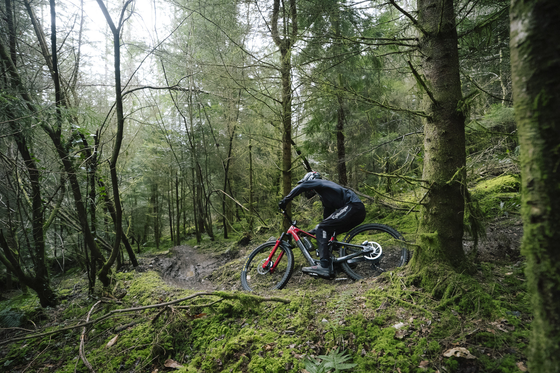 Forbidden Dreadnought E