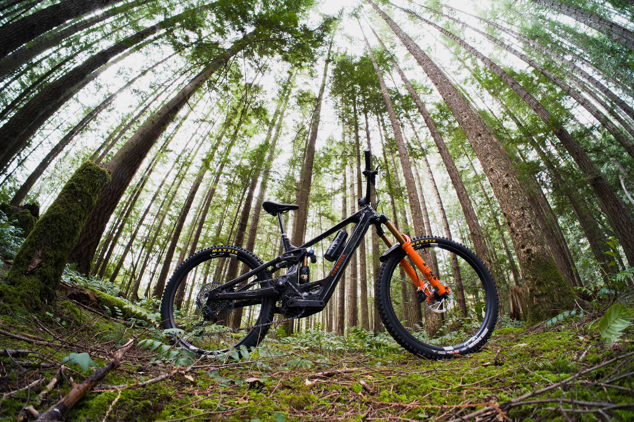 Forbidden Dreadnought E