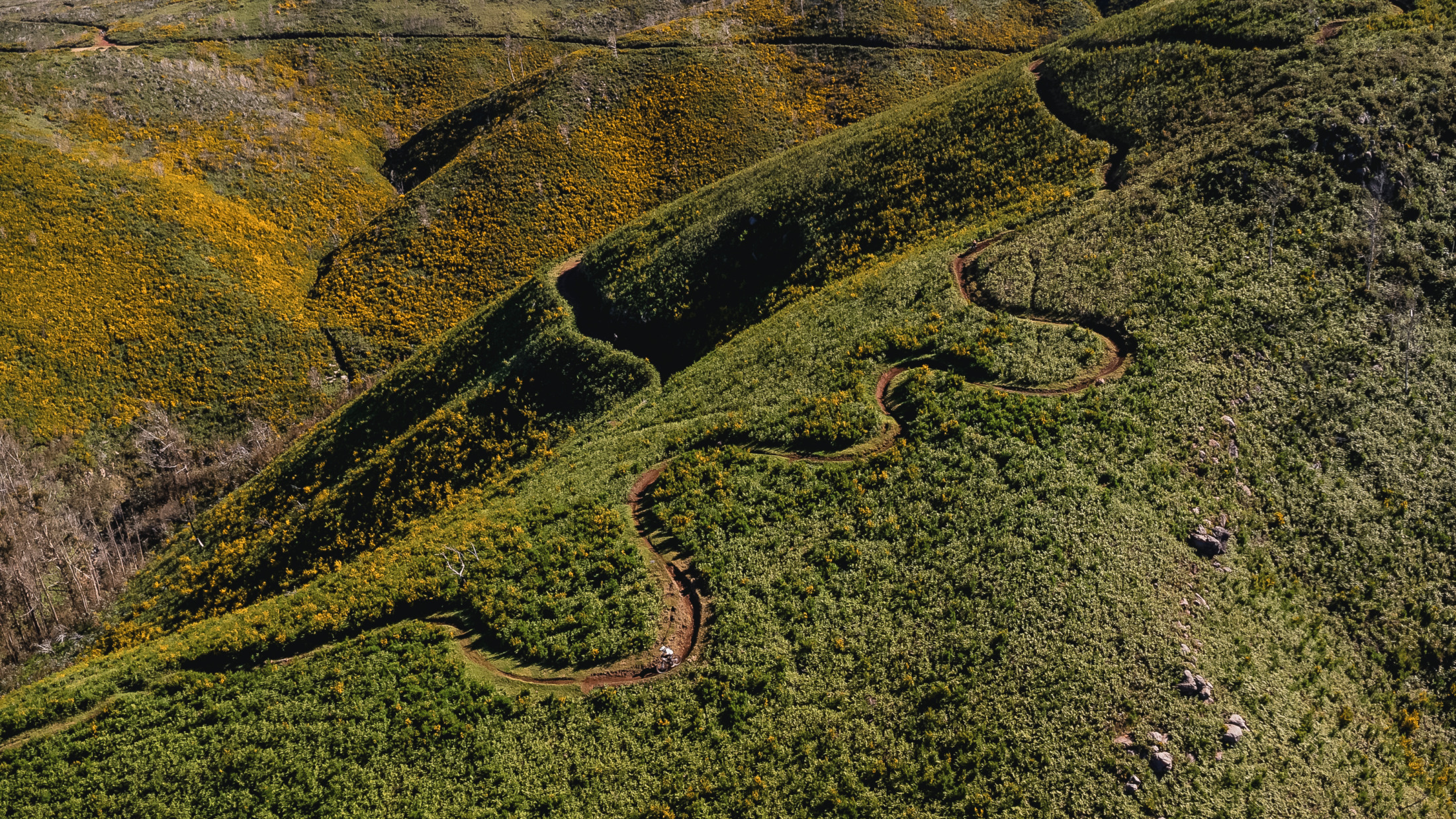 Racing Trans Madeira | Enduro's promised land