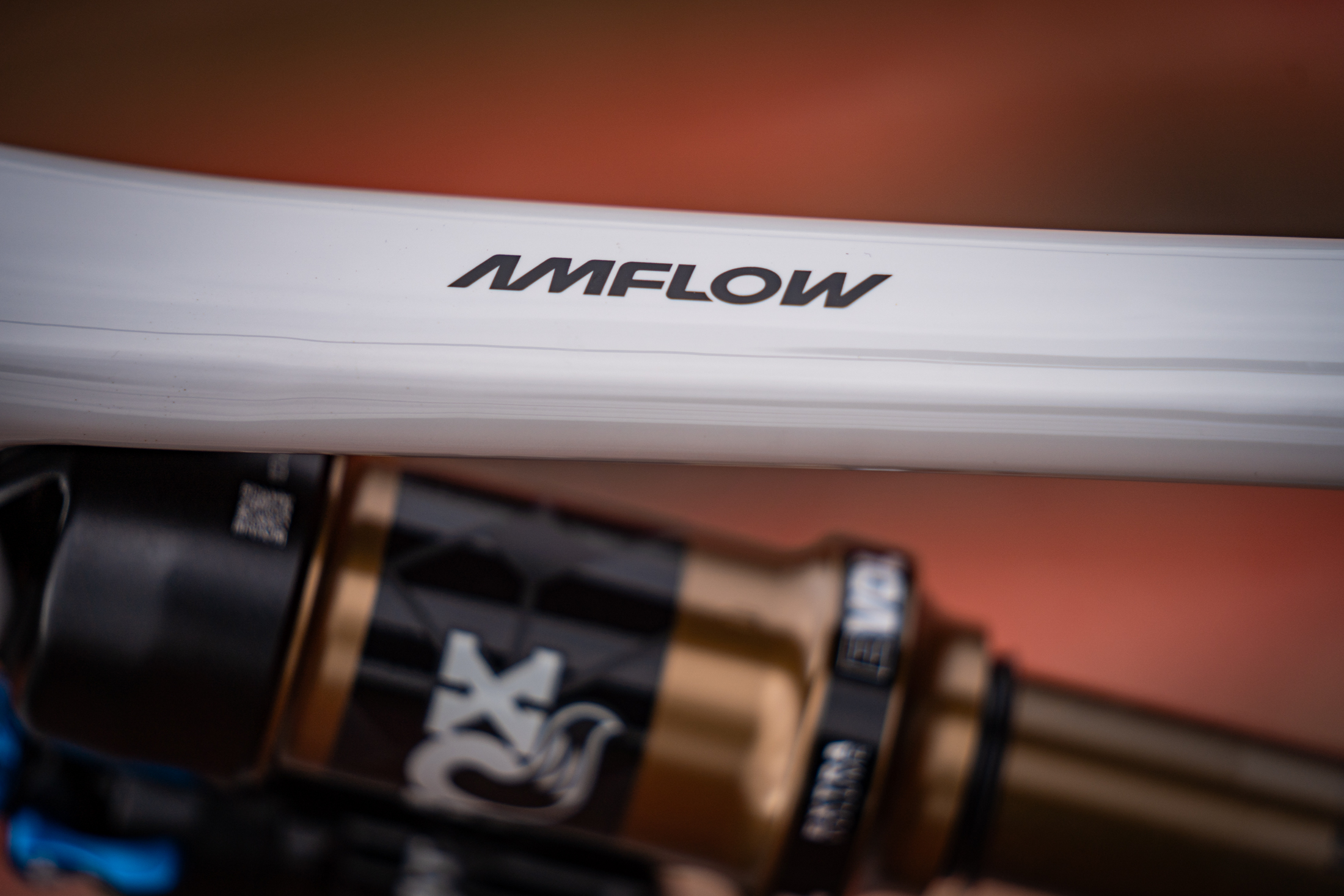 On Test | The Amflow PX Carbon Pro