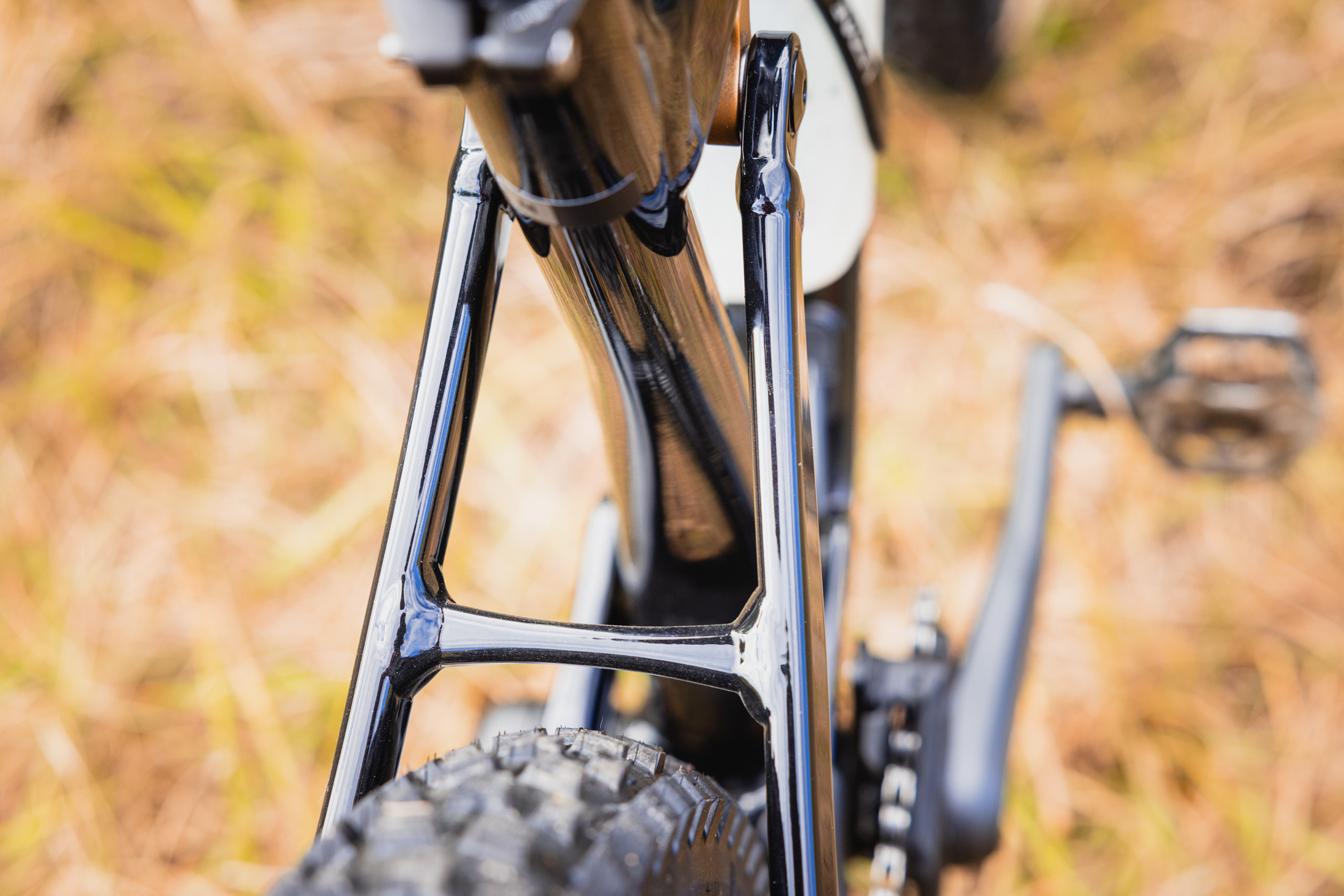 Giant Stance chainstay details